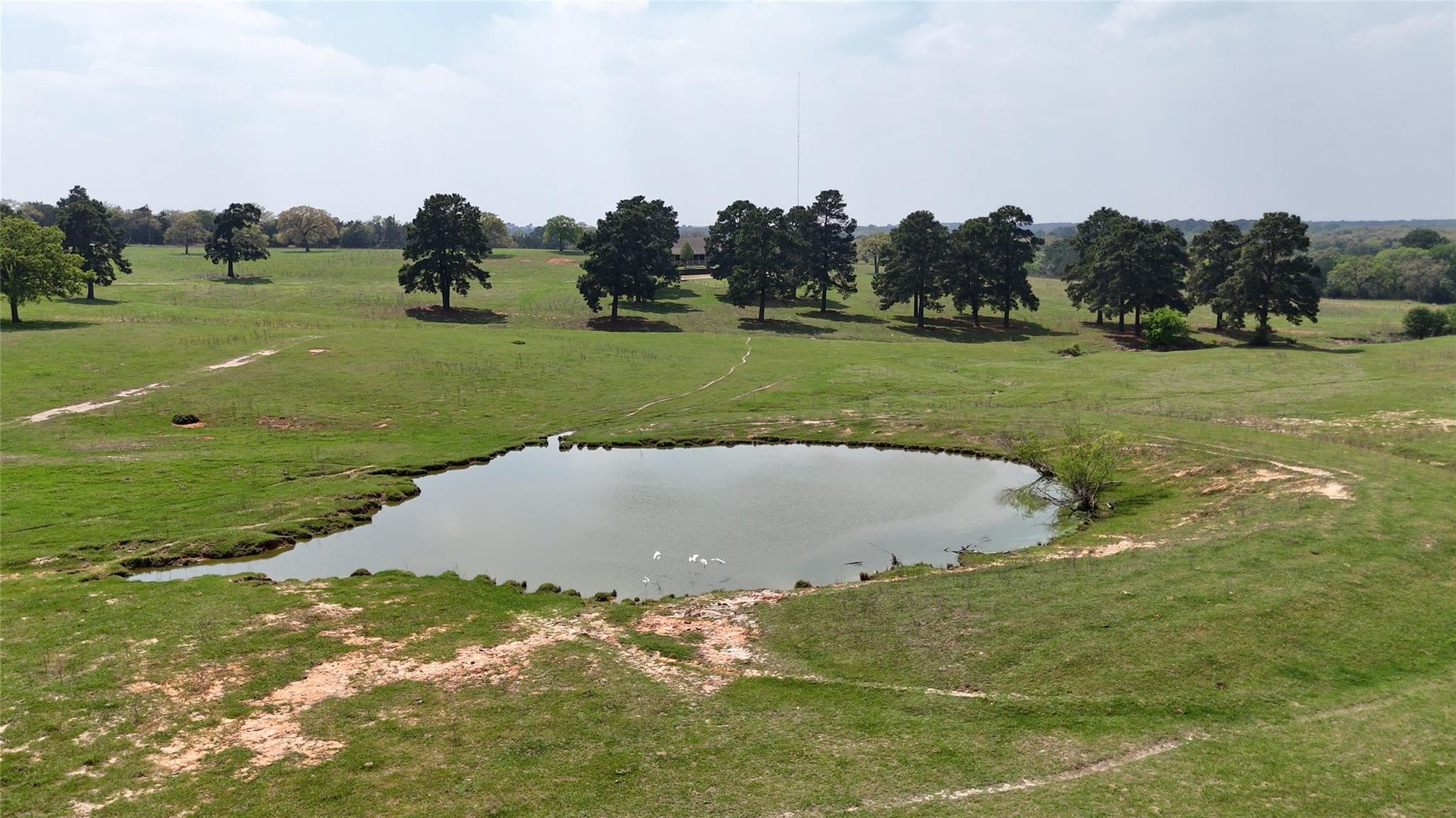 2792 Fm 535, Rosanky, TX 78953