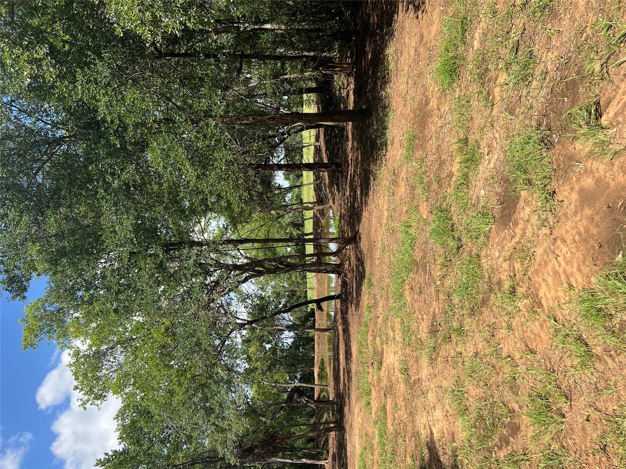 4822 Fm 1624 Rd, Lexington, TX 78947