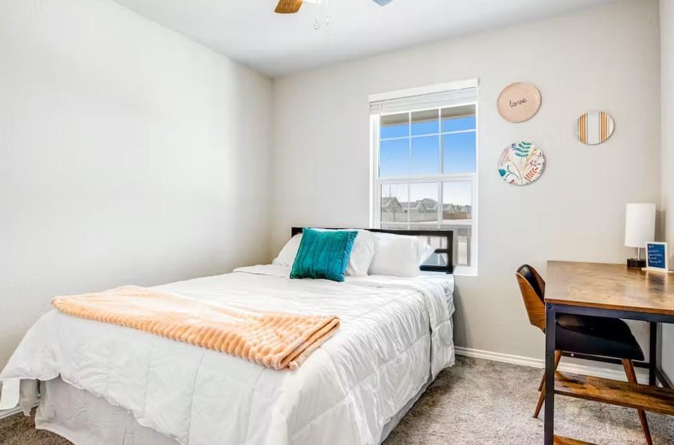 1927 Grey Catbird St, New Braunfels, TX 78130