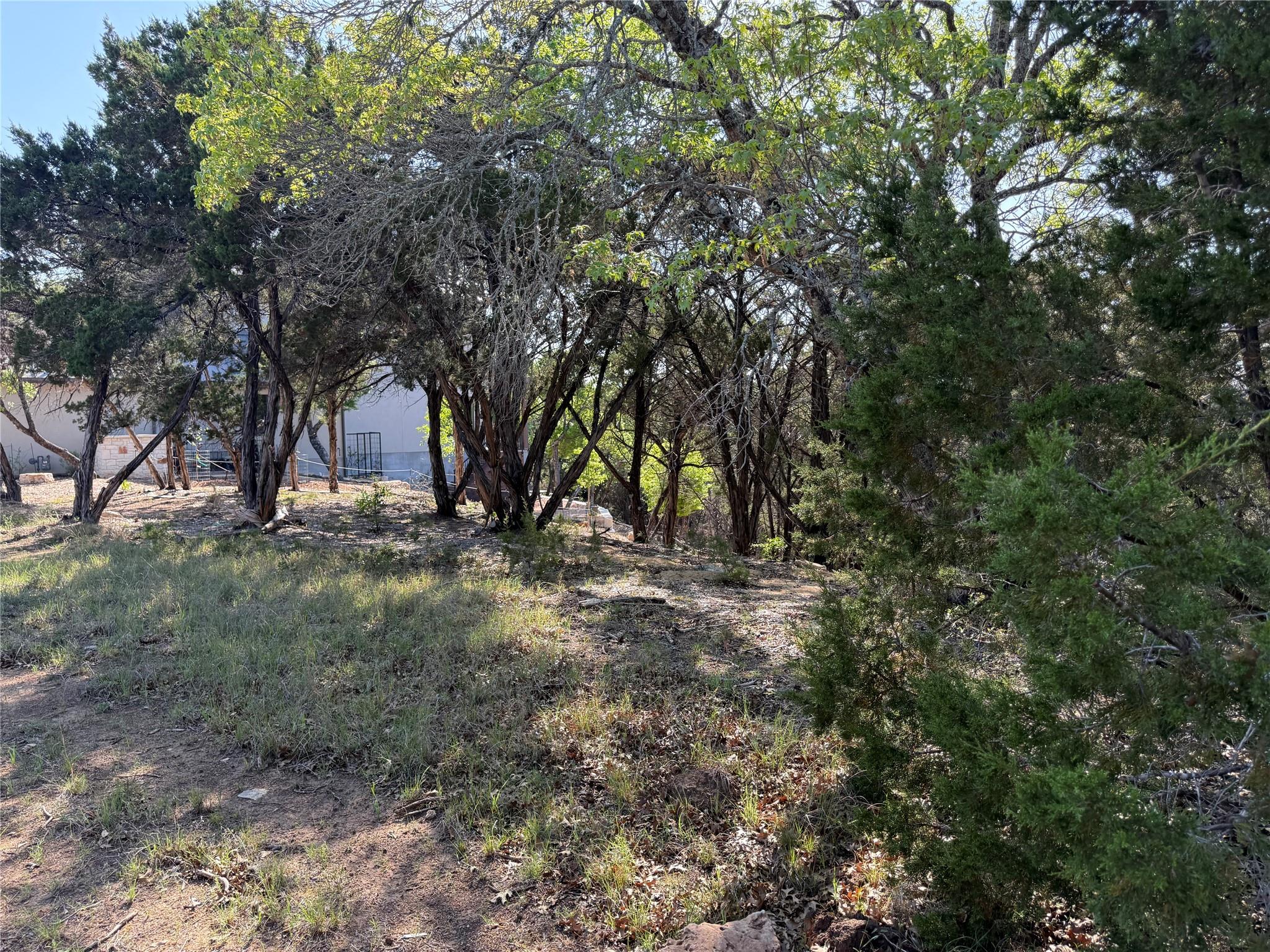 7306 Admirals Park Dr, Jonestown, TX 78645