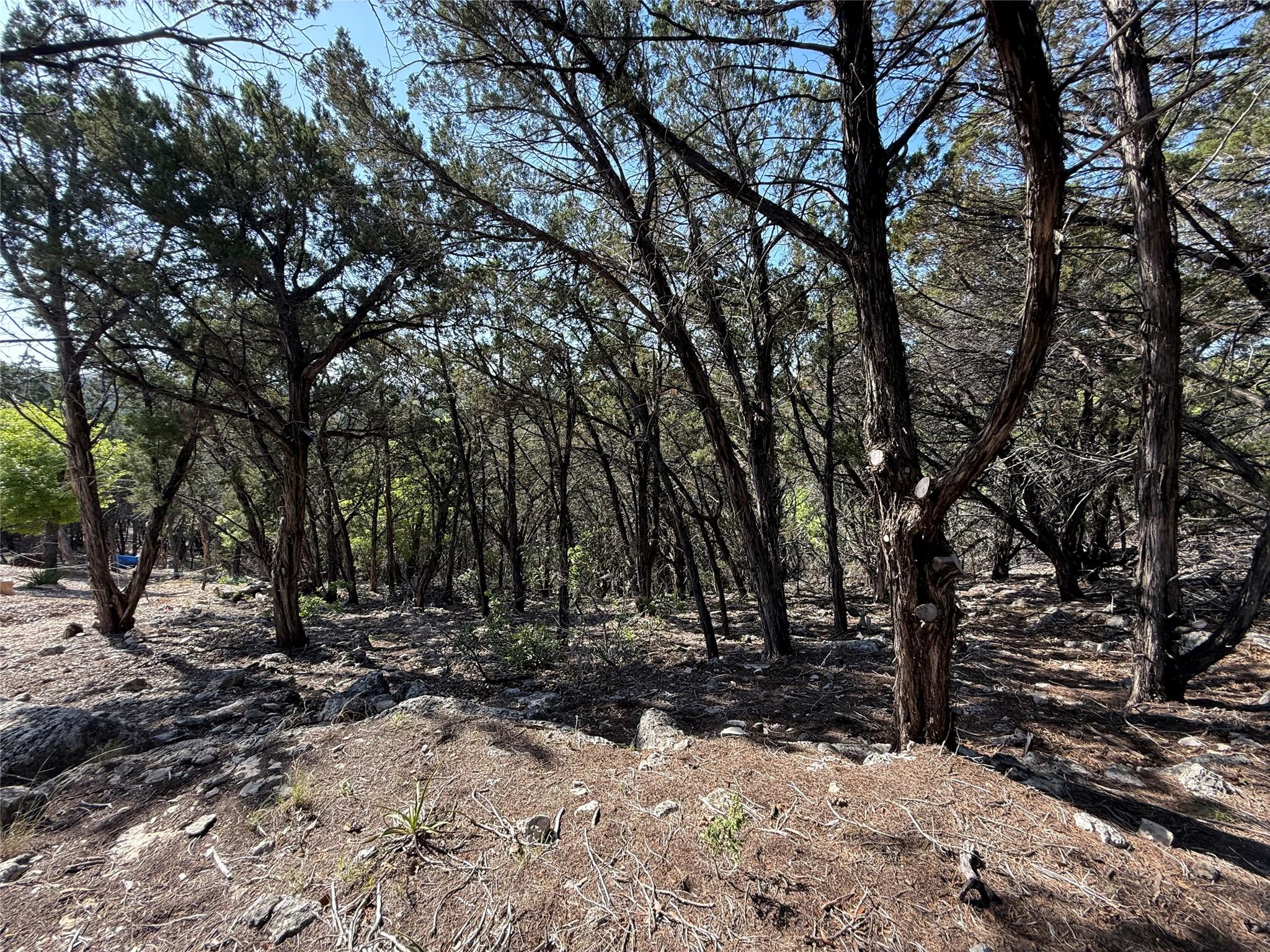 7306 Admirals Park Dr, Jonestown, TX 78645