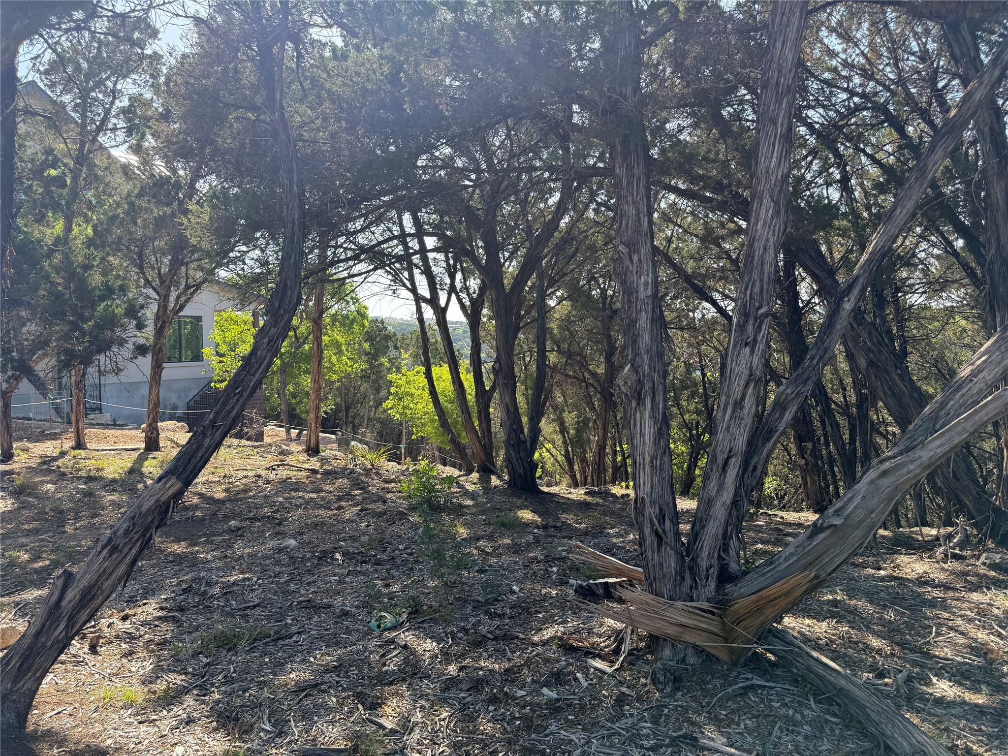 7306 Admirals Park Dr, Jonestown, TX 78645