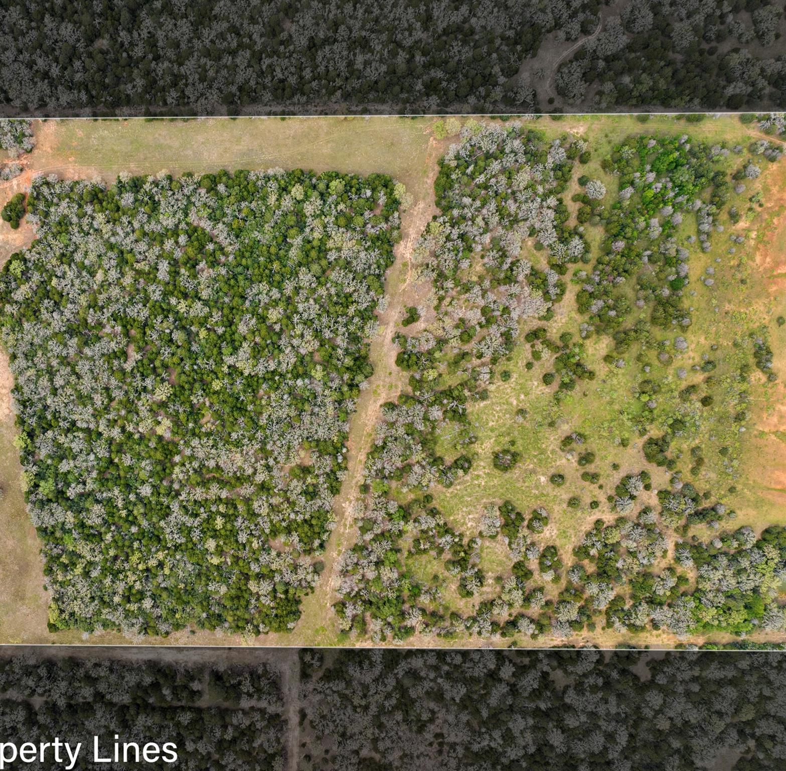 2003 County Road 332, Paige, TX 78659