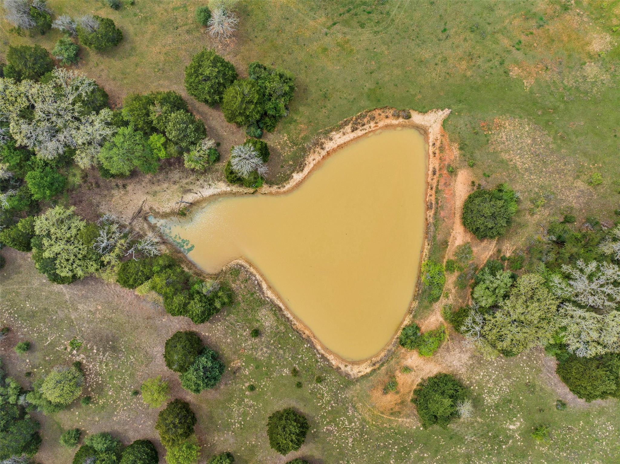 2003 County Road 332, Paige, TX 78659