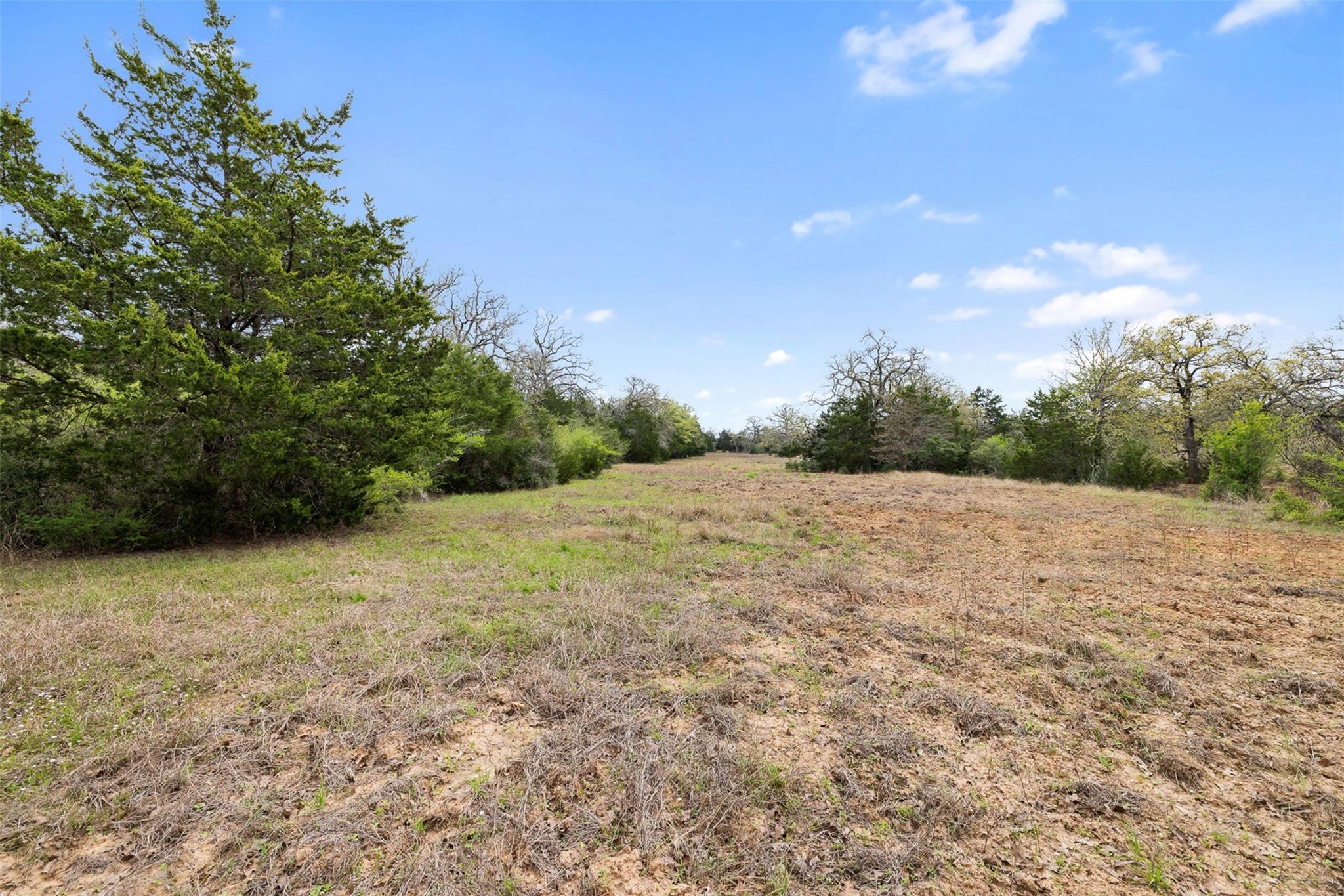 2003 County Road 332, Paige, TX 78659