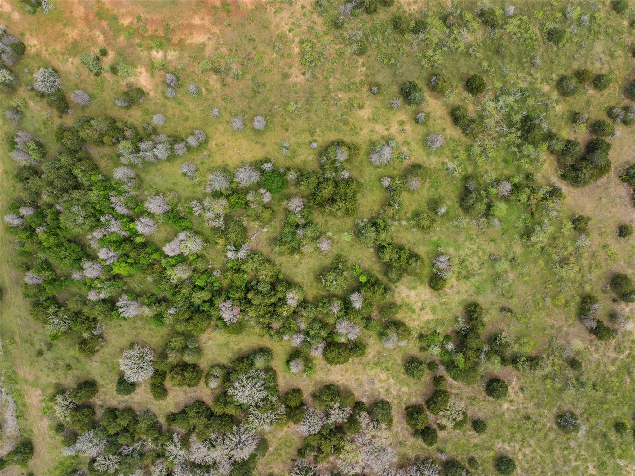 2003 County Road 332, Paige, TX 78659