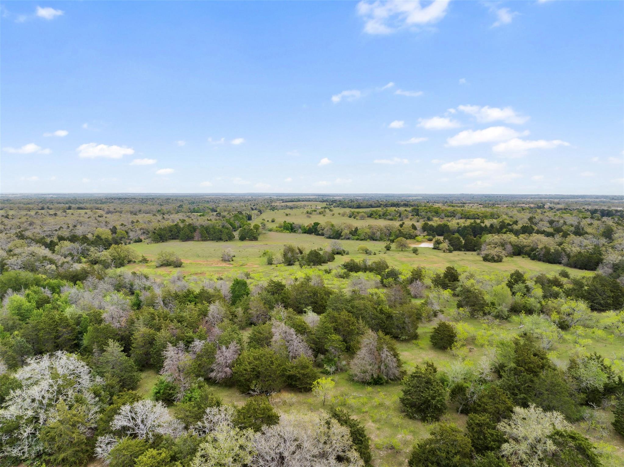 2003 County Road 332, Paige, TX 78659