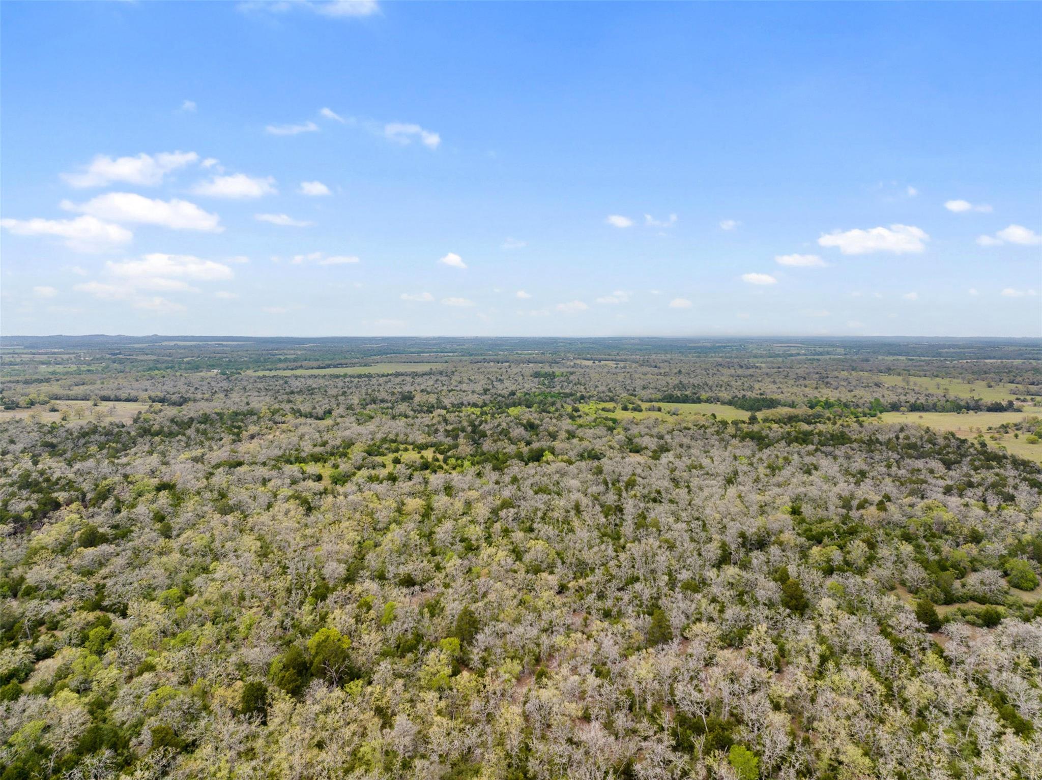 2003 County Road 332, Paige, TX 78659