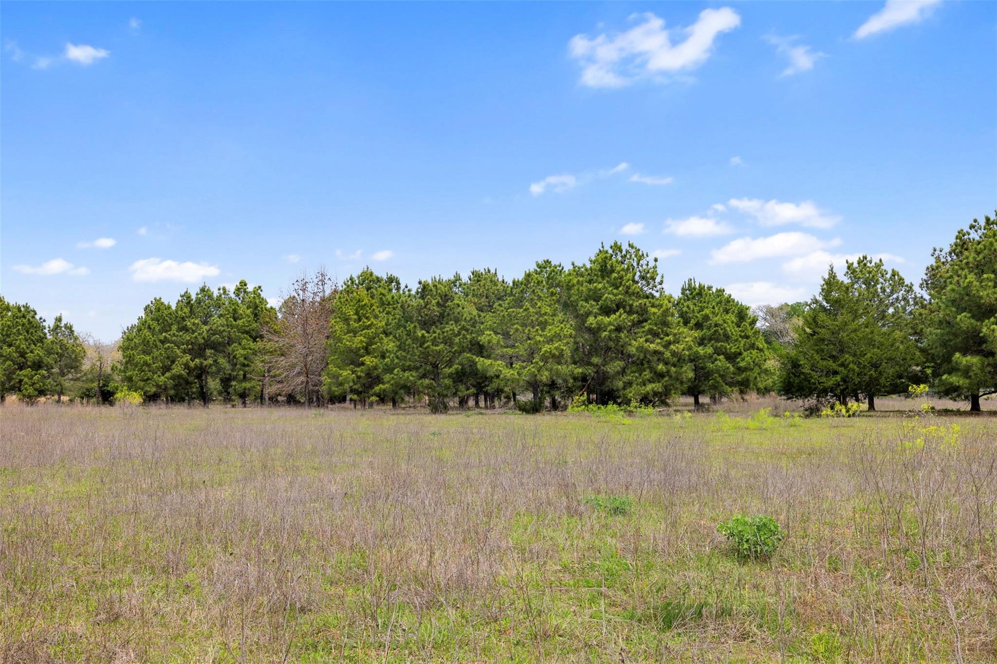 2003 County Road 332, Paige, TX 78659