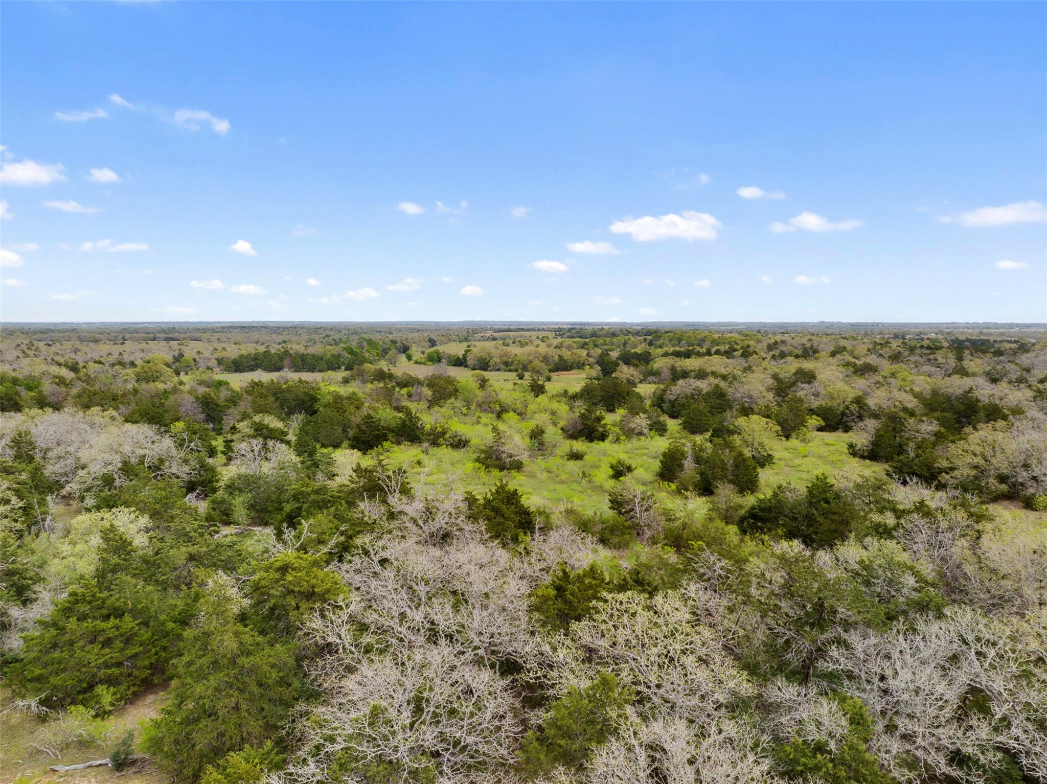 2003 County Road 332, Paige, TX 78659