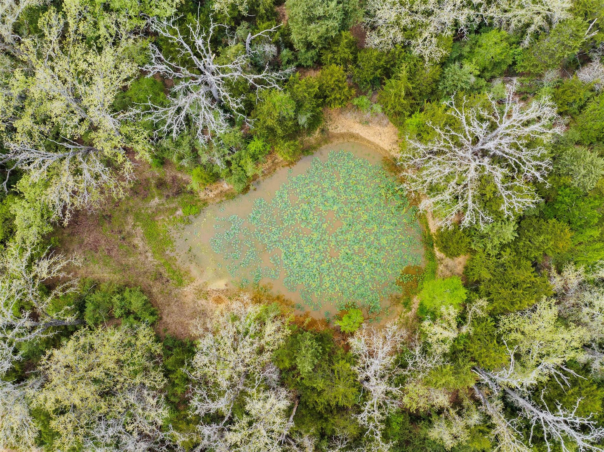 2003 County Road 332, Paige, TX 78659