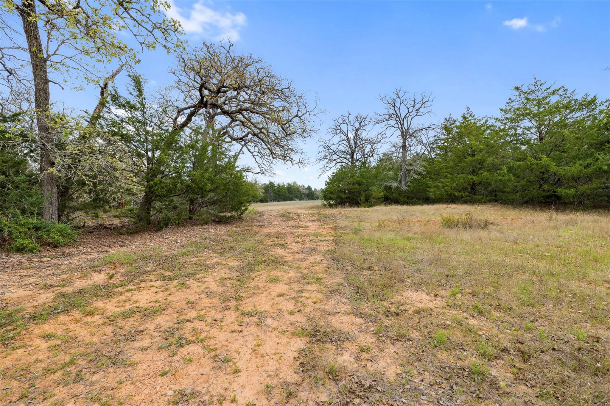 2003 County Road 332, Paige, TX 78659