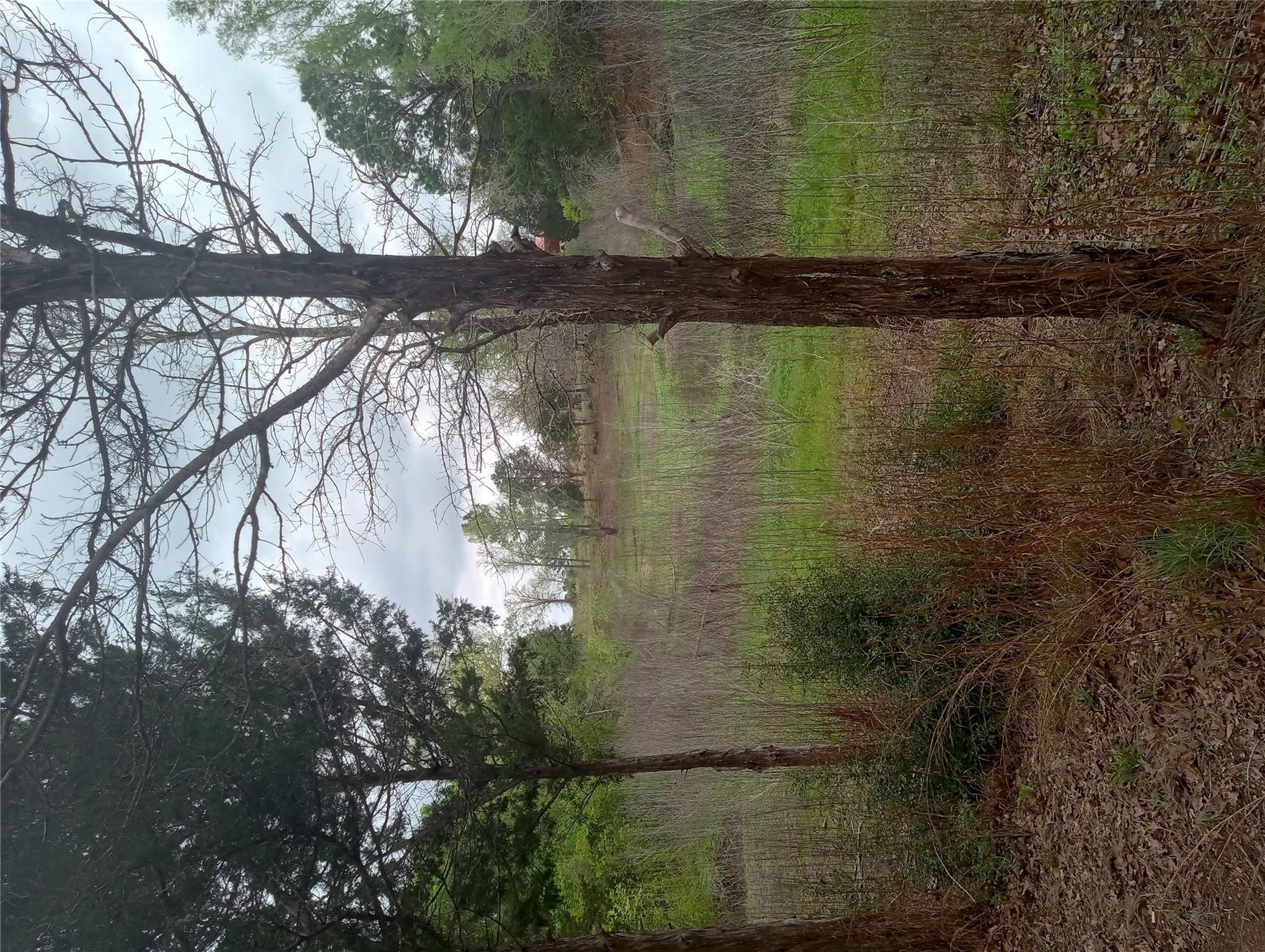 177 Moon Mist Dr, Bastrop, TX 78602