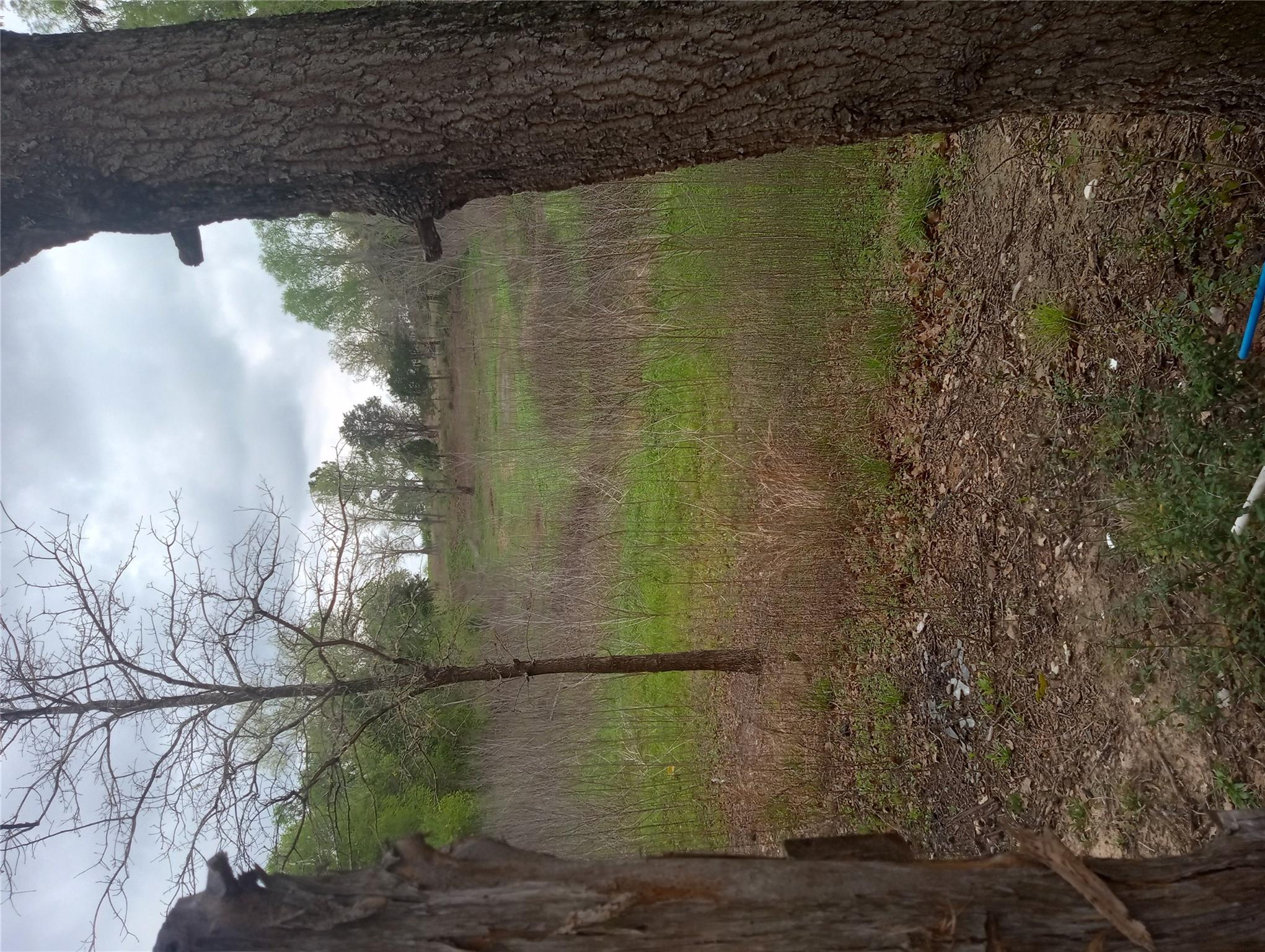 177 Moon Mist Dr, Bastrop, TX 78602