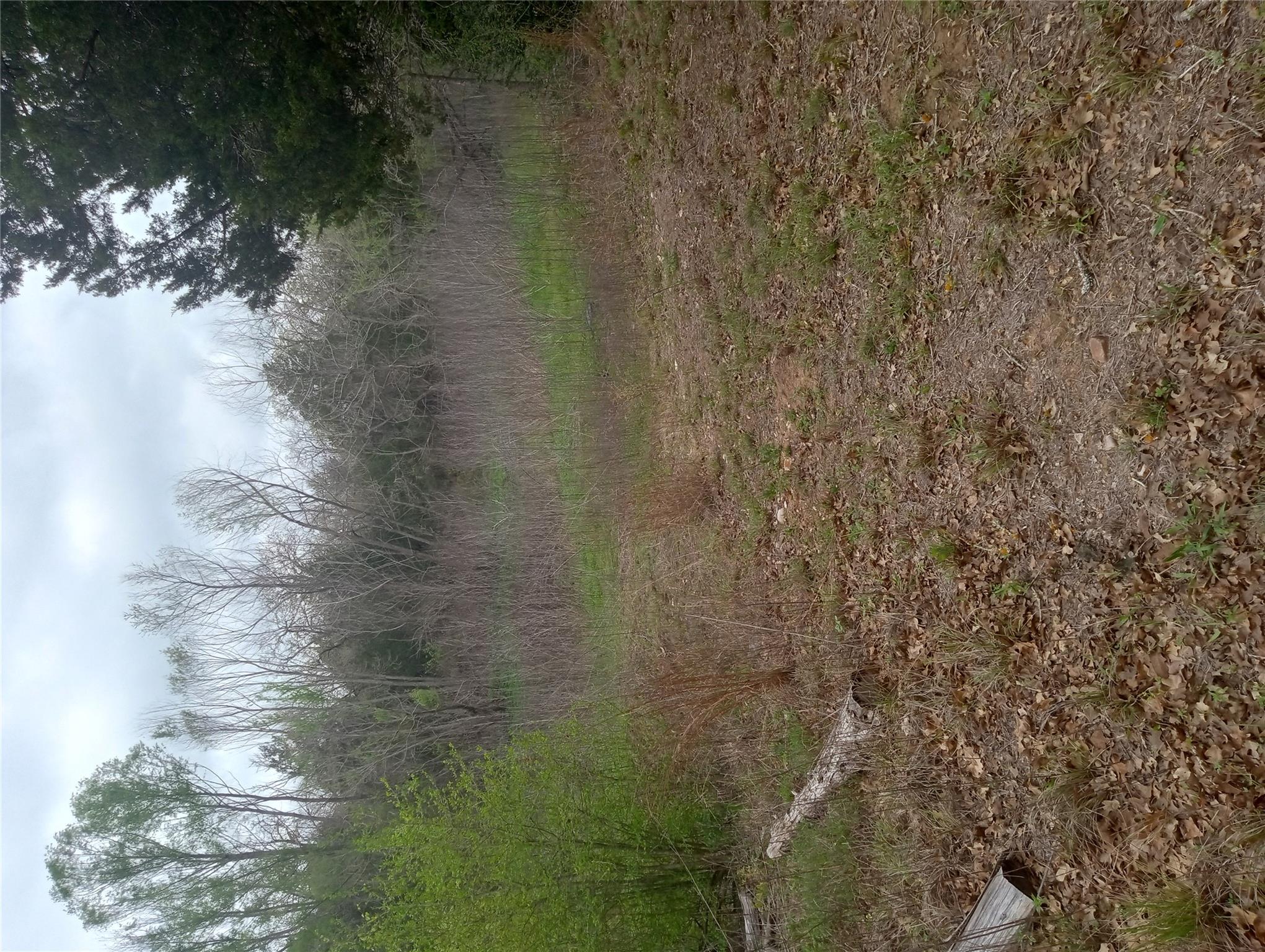 177 Moon Mist Dr, Bastrop, TX 78602