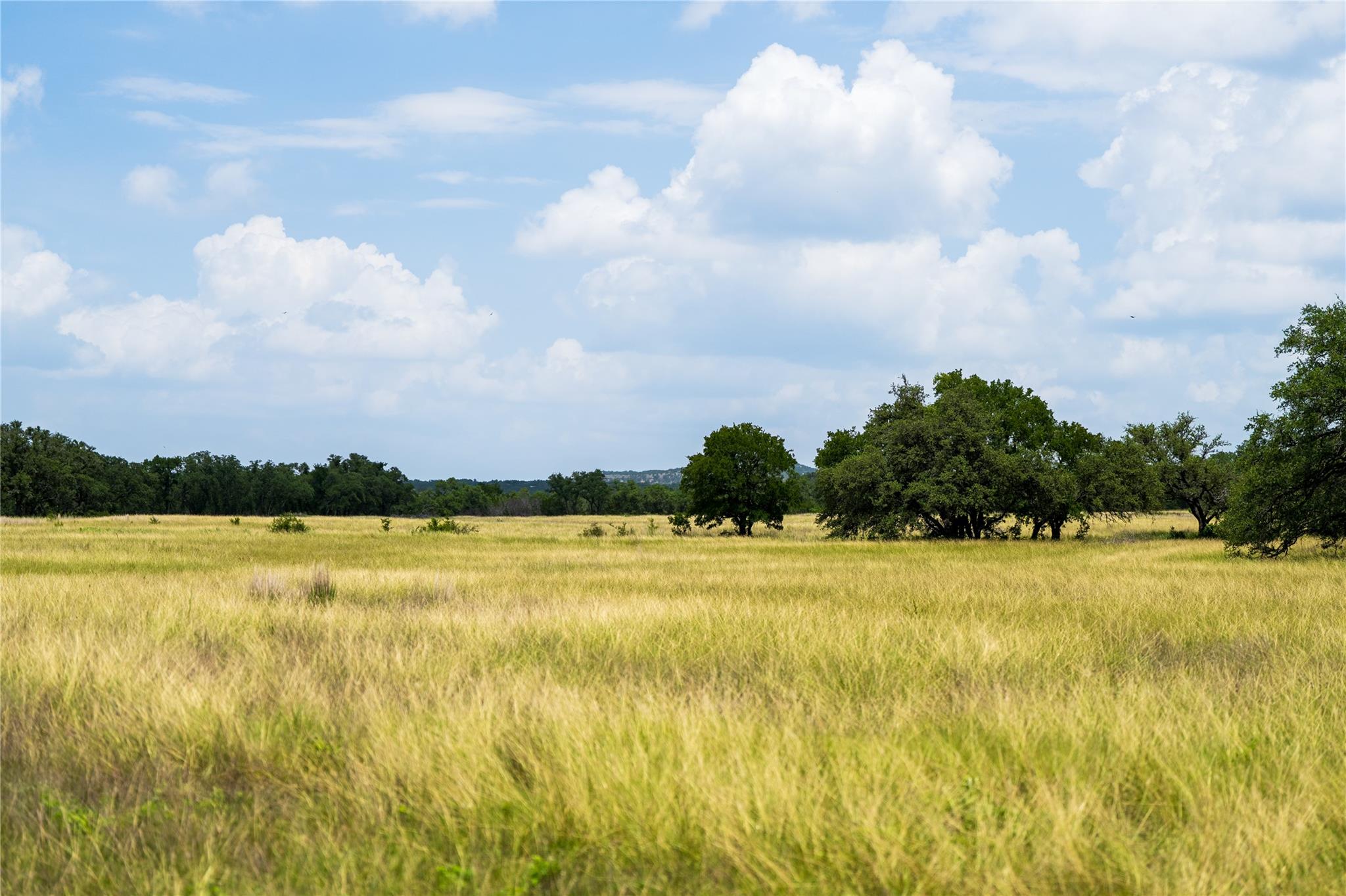 3979 Chimney Valley Rd, Blanco, TX 78606