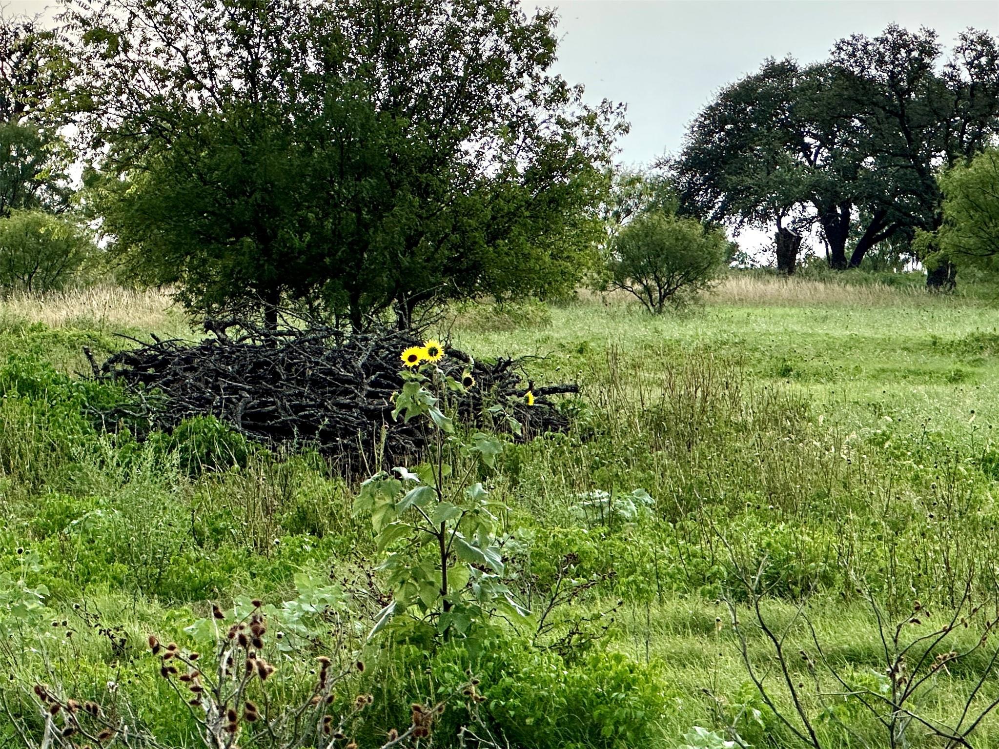 554 W US Highway 84 Highway, Goldthwaite, TX 76844