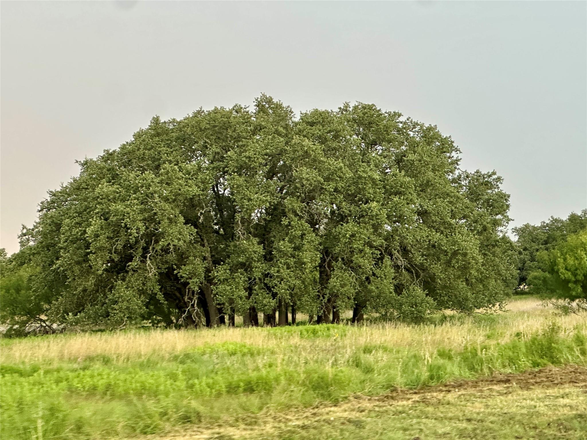554 W US Highway 84 Highway, Goldthwaite, TX 76844