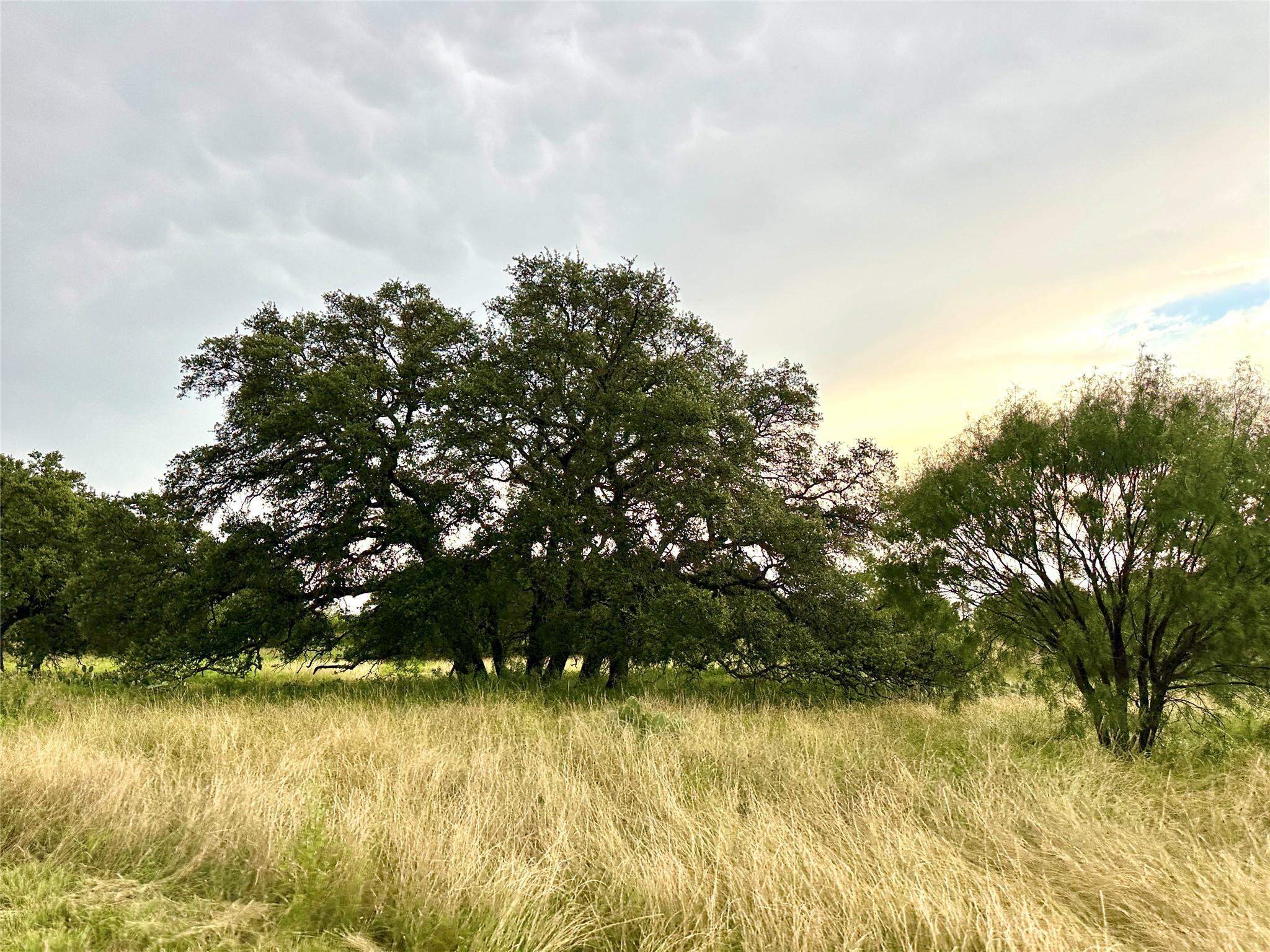 554 W US Highway 84 Highway, Goldthwaite, TX 76844