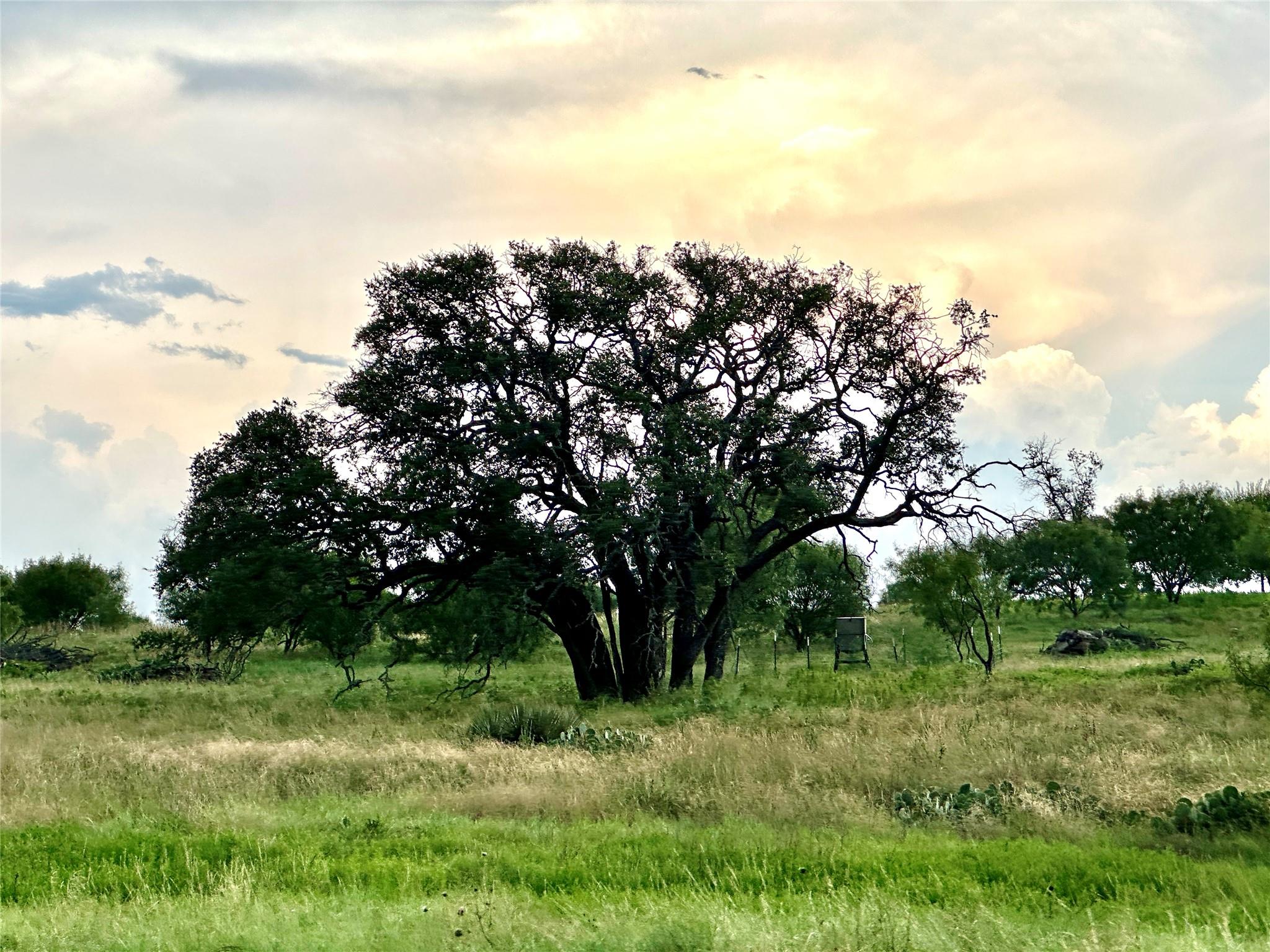 554 W US Highway 84 Highway, Goldthwaite, TX 76844
