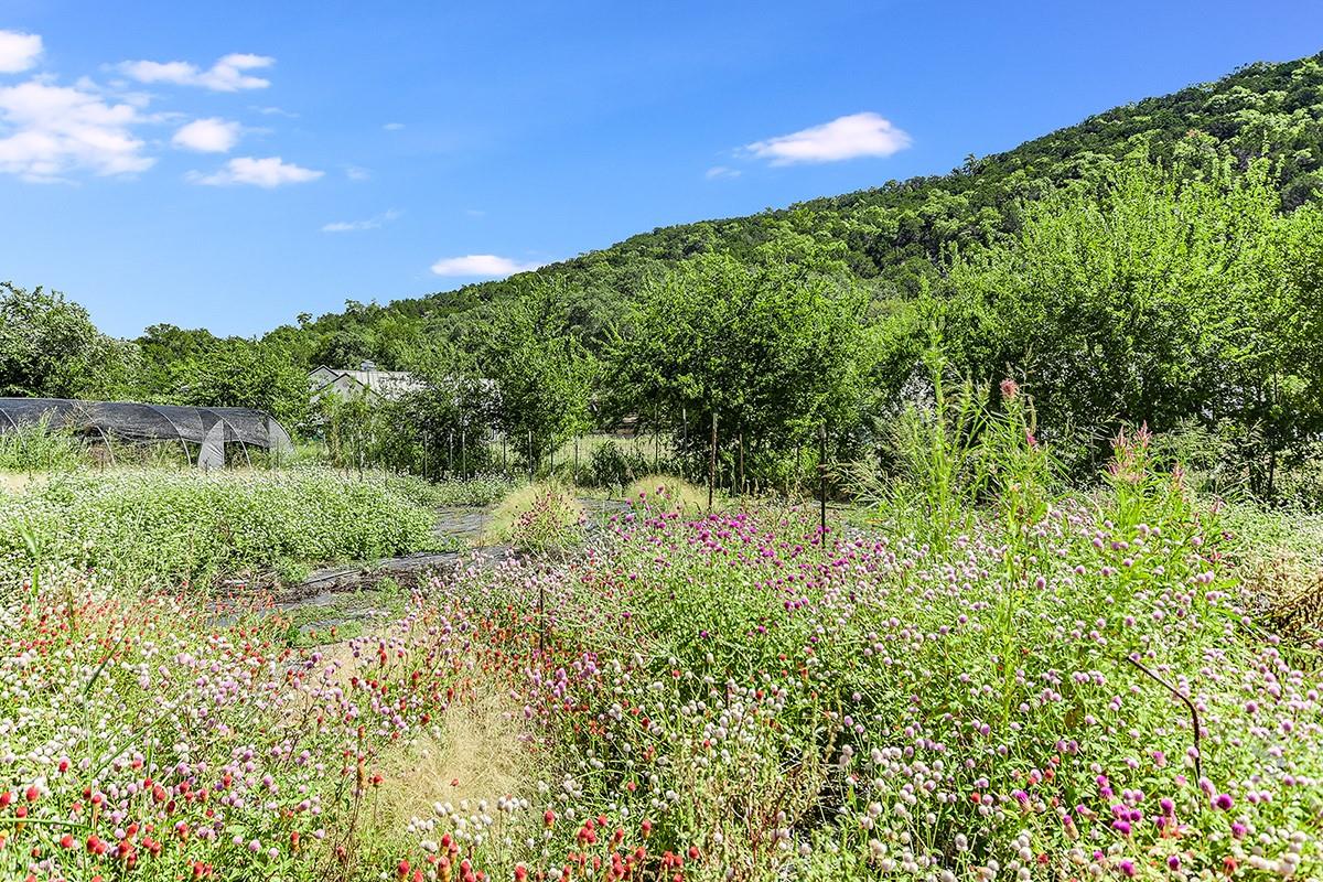 18405 Angel Valley Dr, Leander, TX 78641