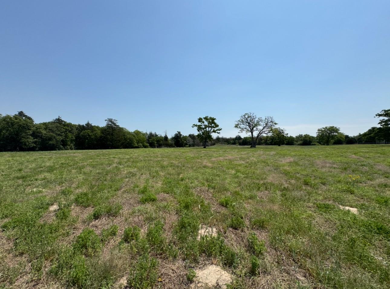 1480 County Road B, Lexington, TX 78947