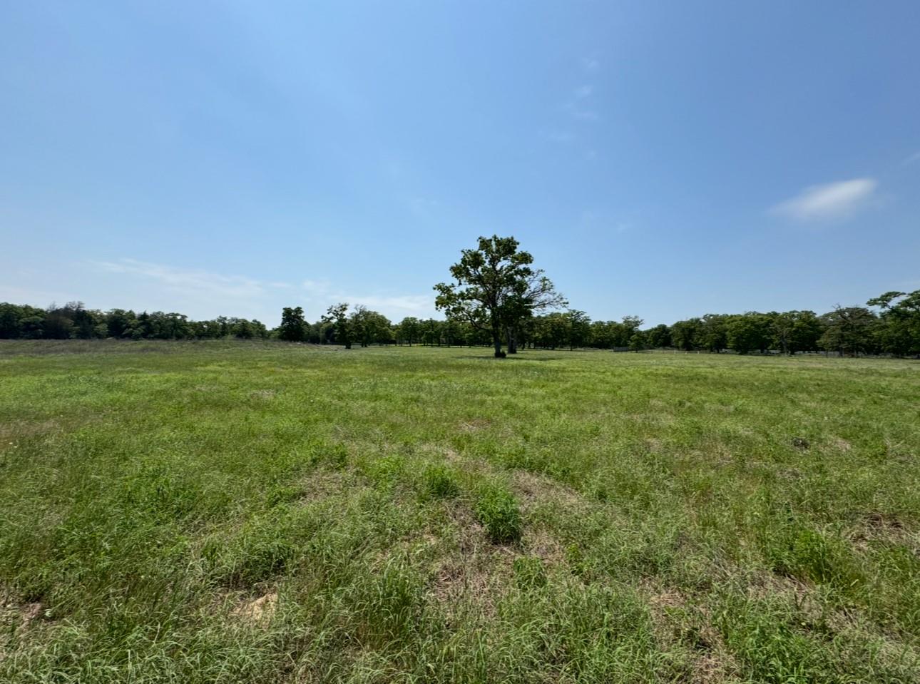 1480 County Road B, Lexington, TX 78947
