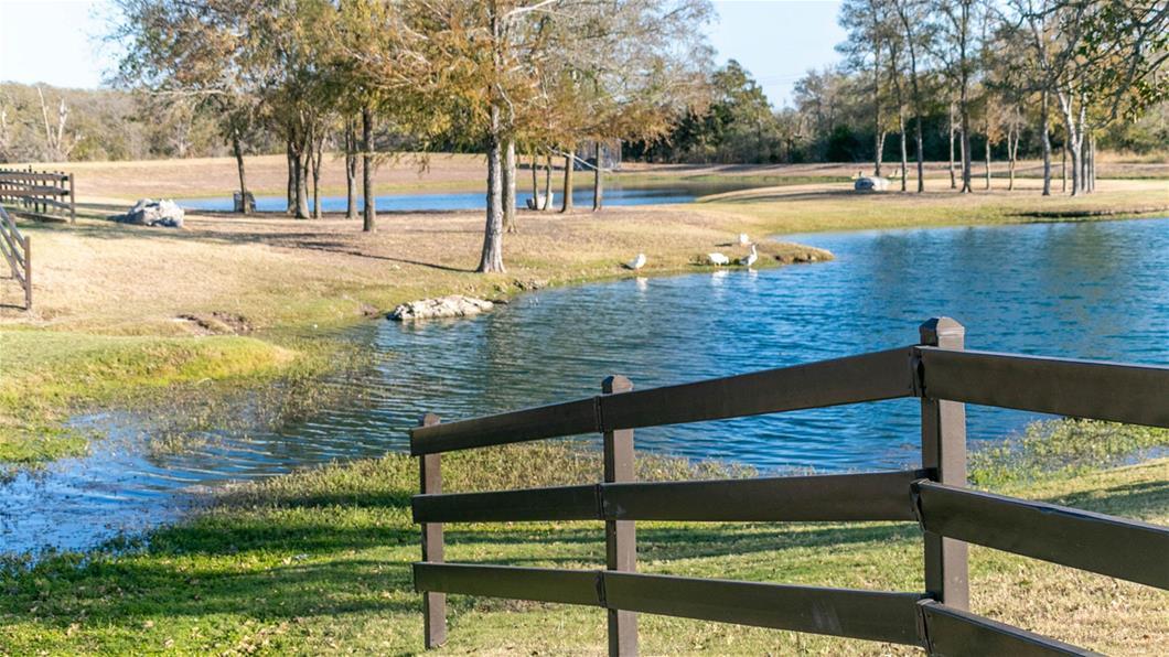 190 Plumbago Loop, Bastrop, TX 78602