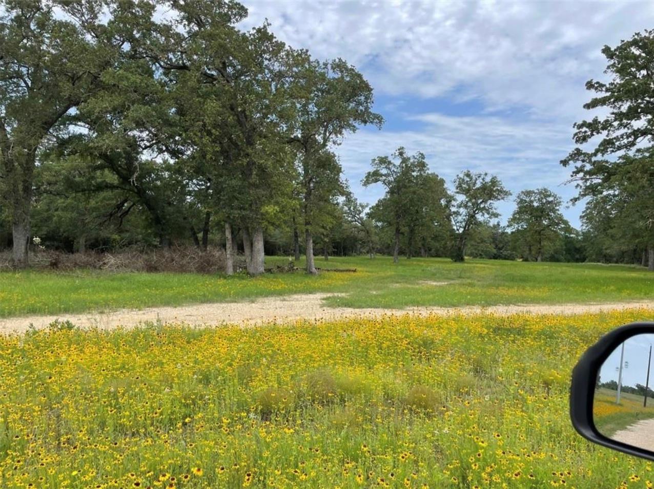 1073 Creekside Ln, Lexington, TX 78947