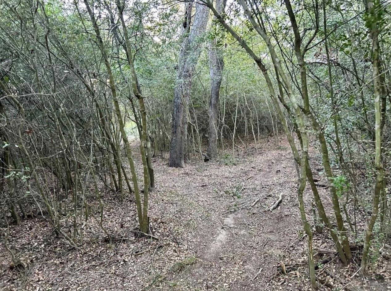 1073 Creekside Ln, Lexington, TX 78947