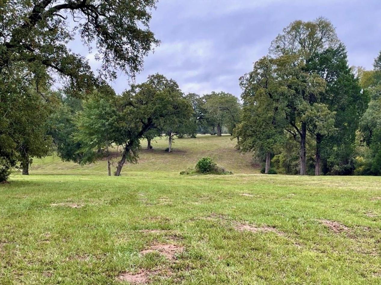 1073 Creekside Ln, Lexington, TX 78947