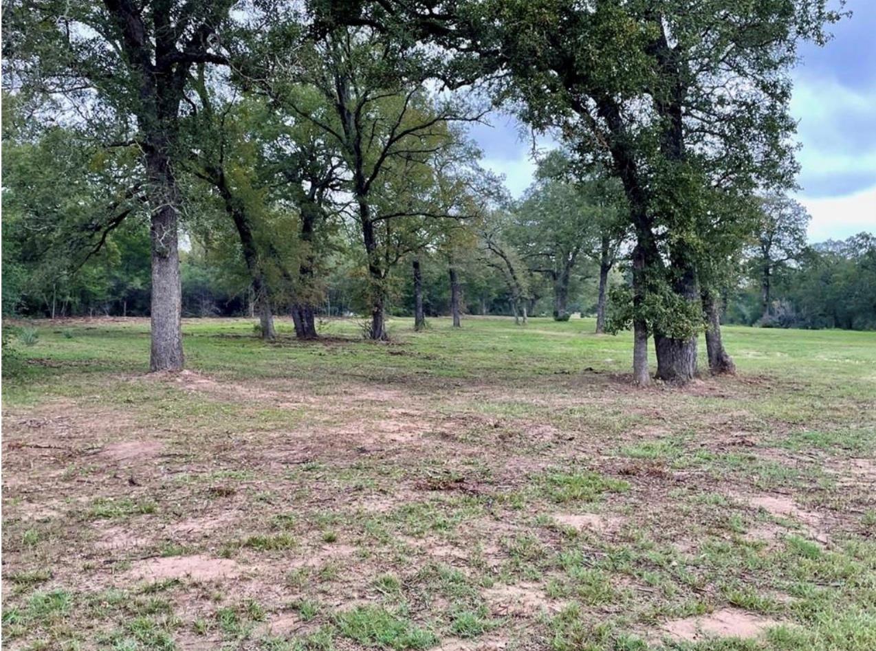 1073 Creekside Ln, Lexington, TX 78947