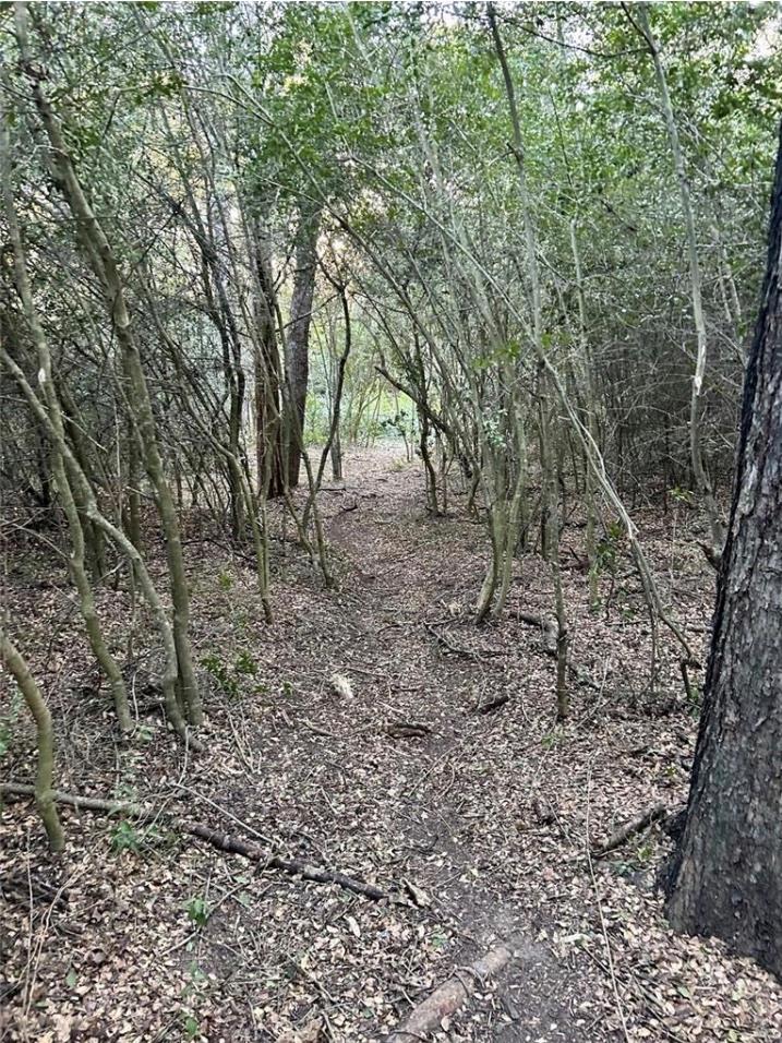 1073 Creekside Ln, Lexington, TX 78947