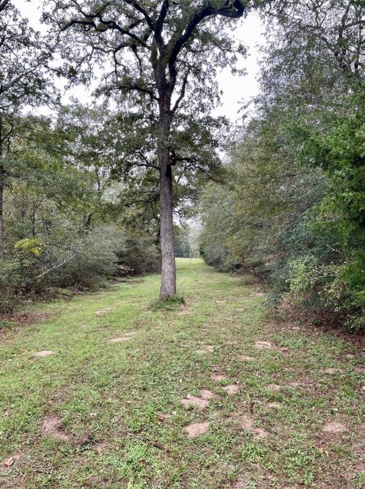 1073 Creekside Ln, Lexington, TX 78947