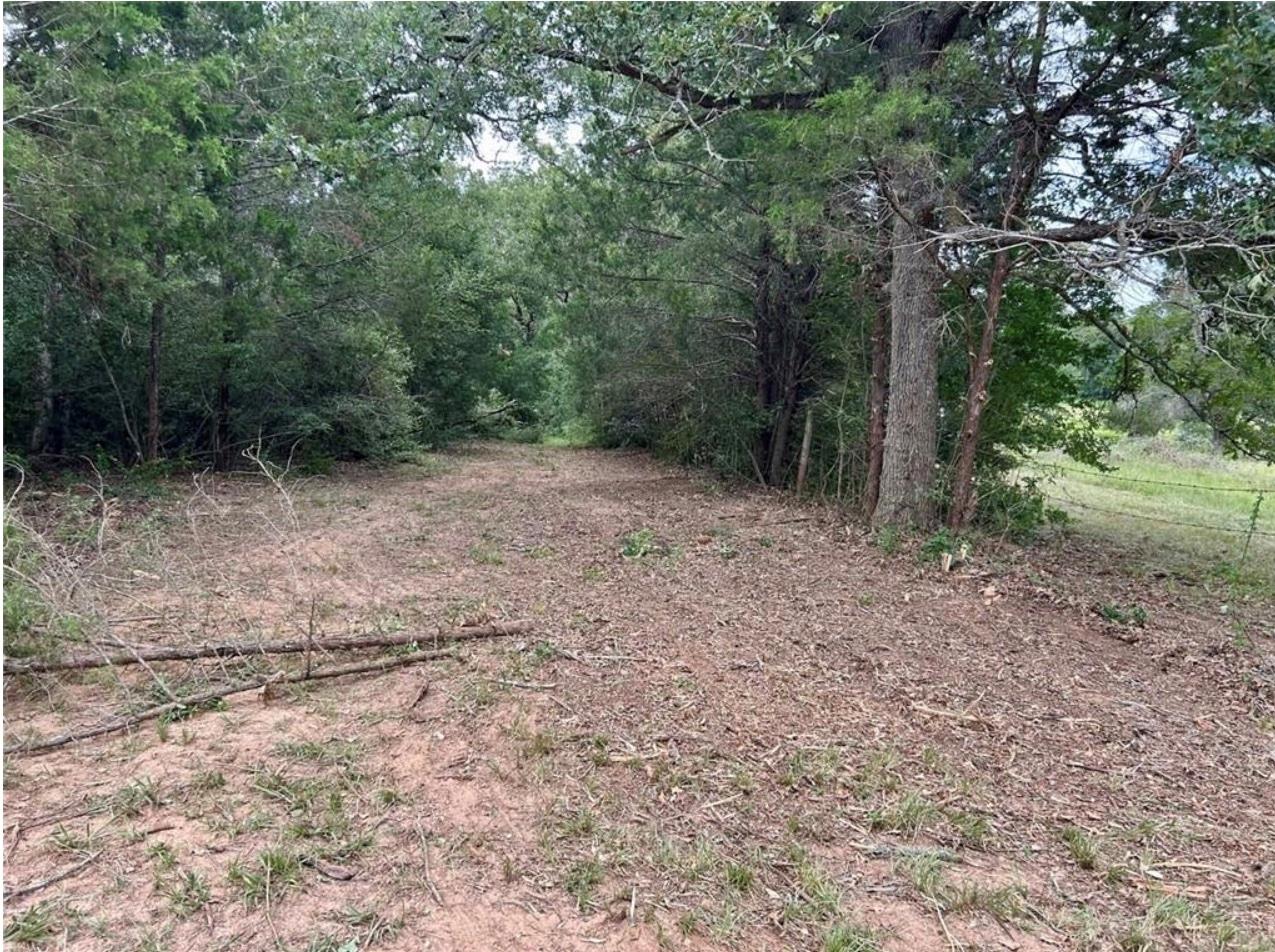 1073 Creekside Ln, Lexington, TX 78947