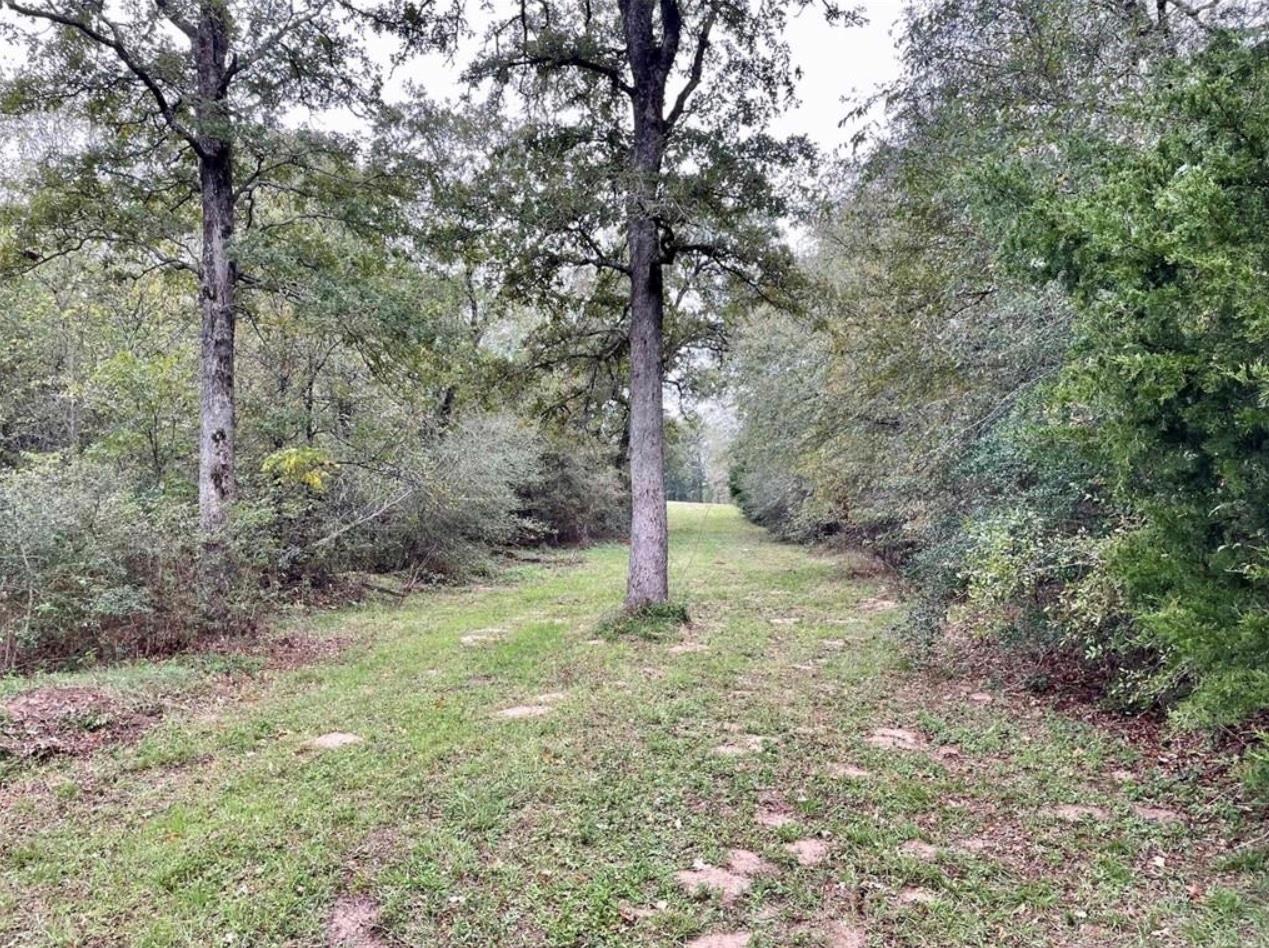 1073 Creekside Ln, Lexington, TX 78947