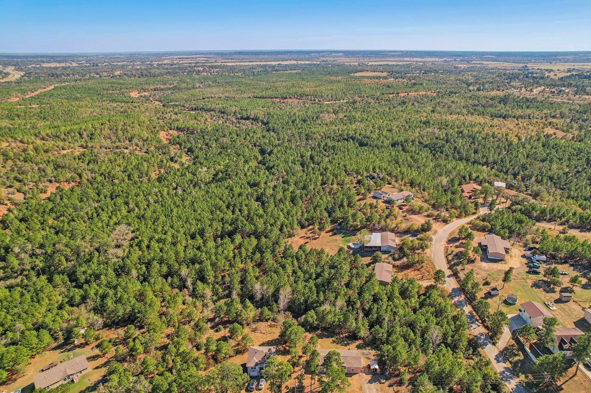 273 River Forest Dr, Bastrop, TX 78602