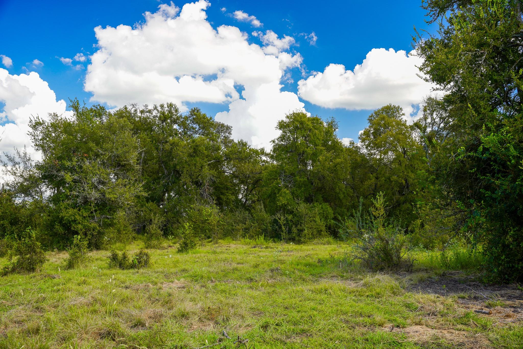 0 Tract 1 CR 470 - Ctr, Coupland, TX 78615