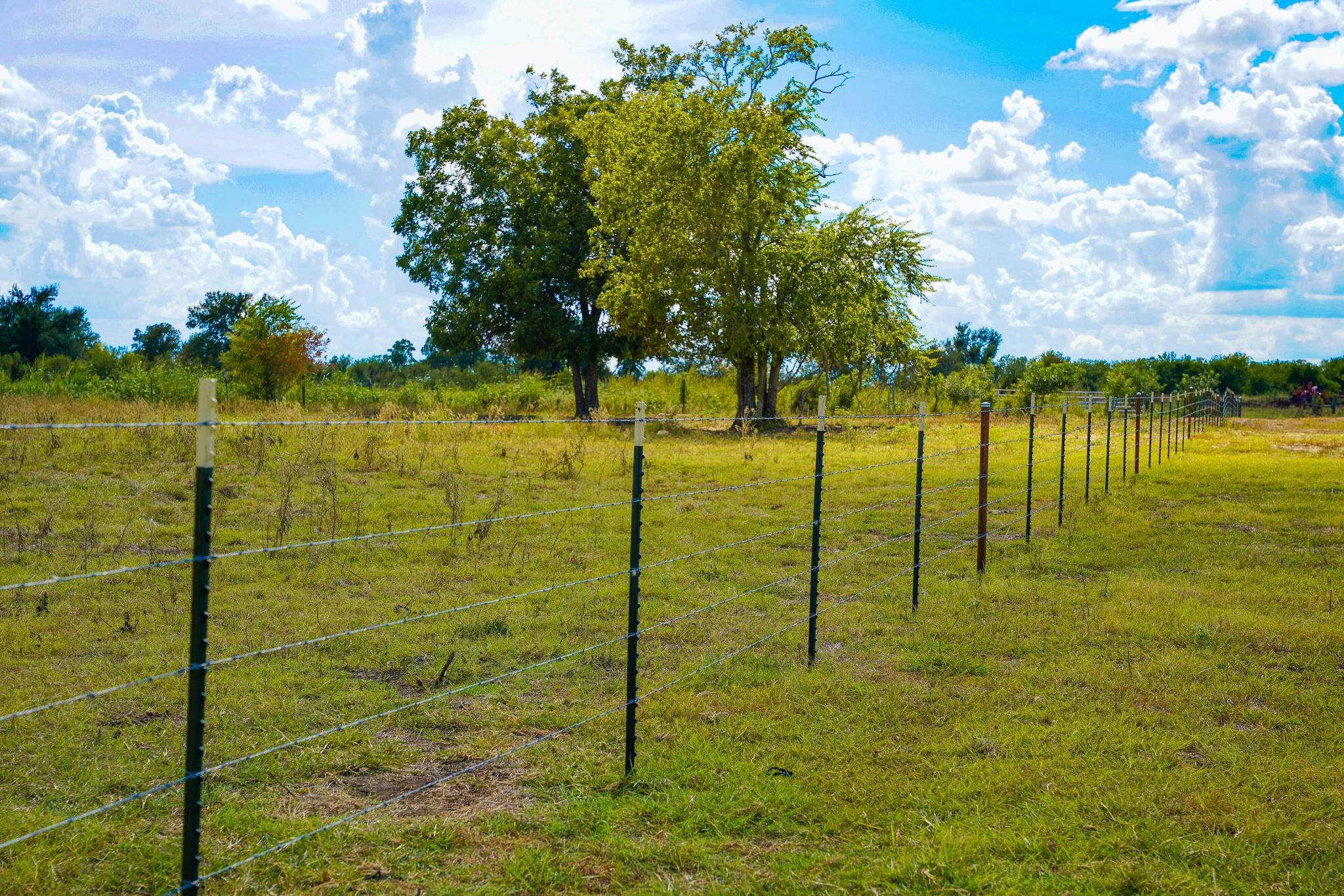 0 Tract 1 CR 470 - Ctr, Coupland, TX 78615