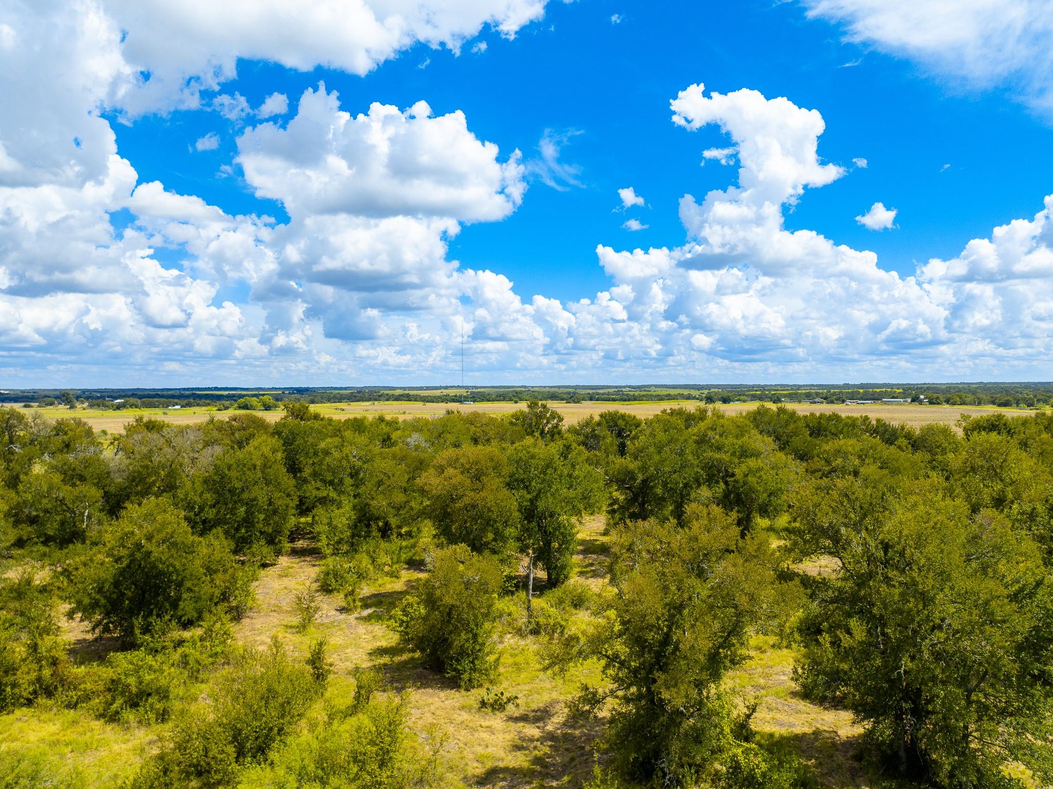 0 Tract 1 CR 470 - Ctr, Coupland, TX 78615