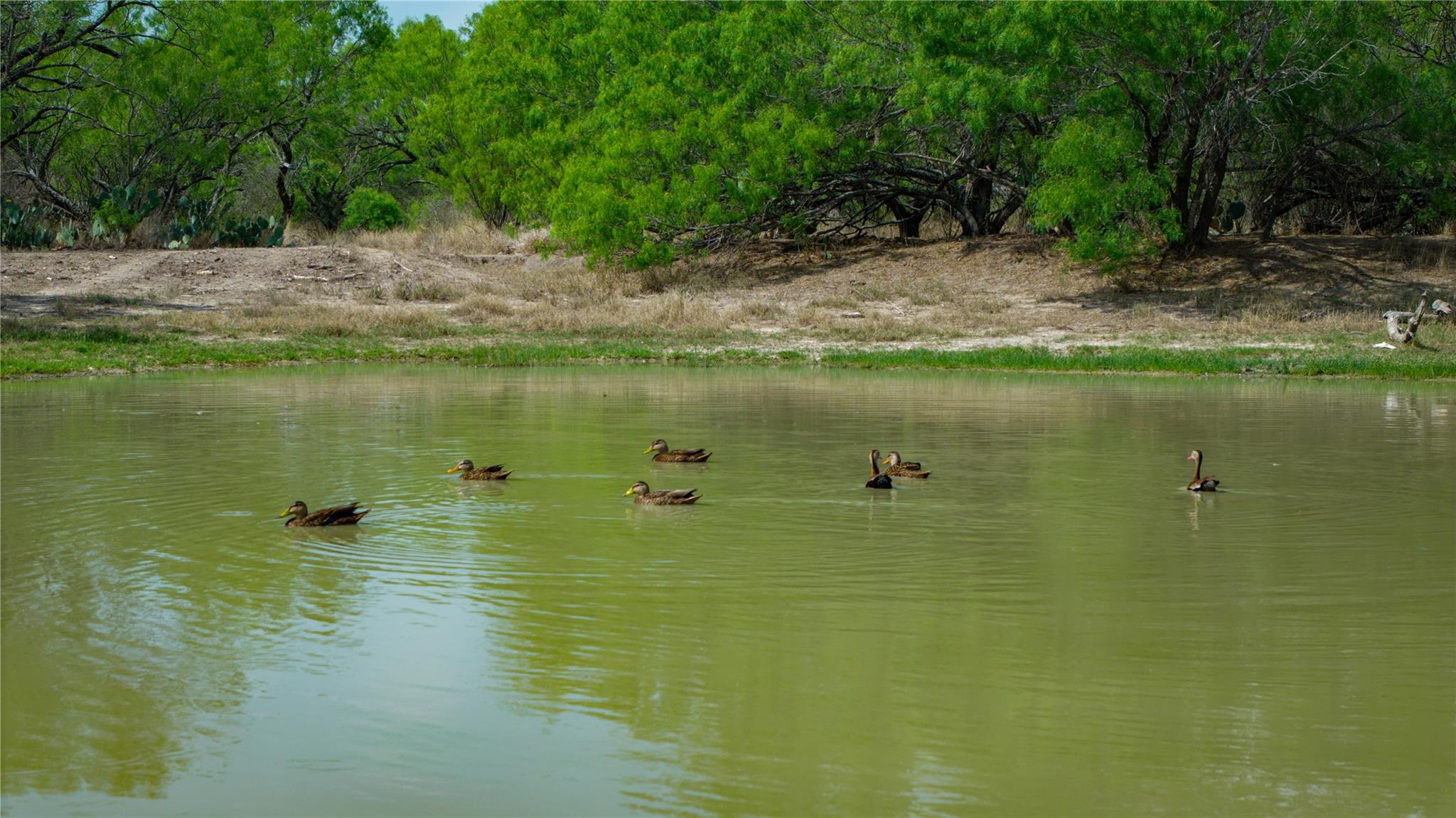 1500 N FM 1407, Carrizo Springs, TX 78839