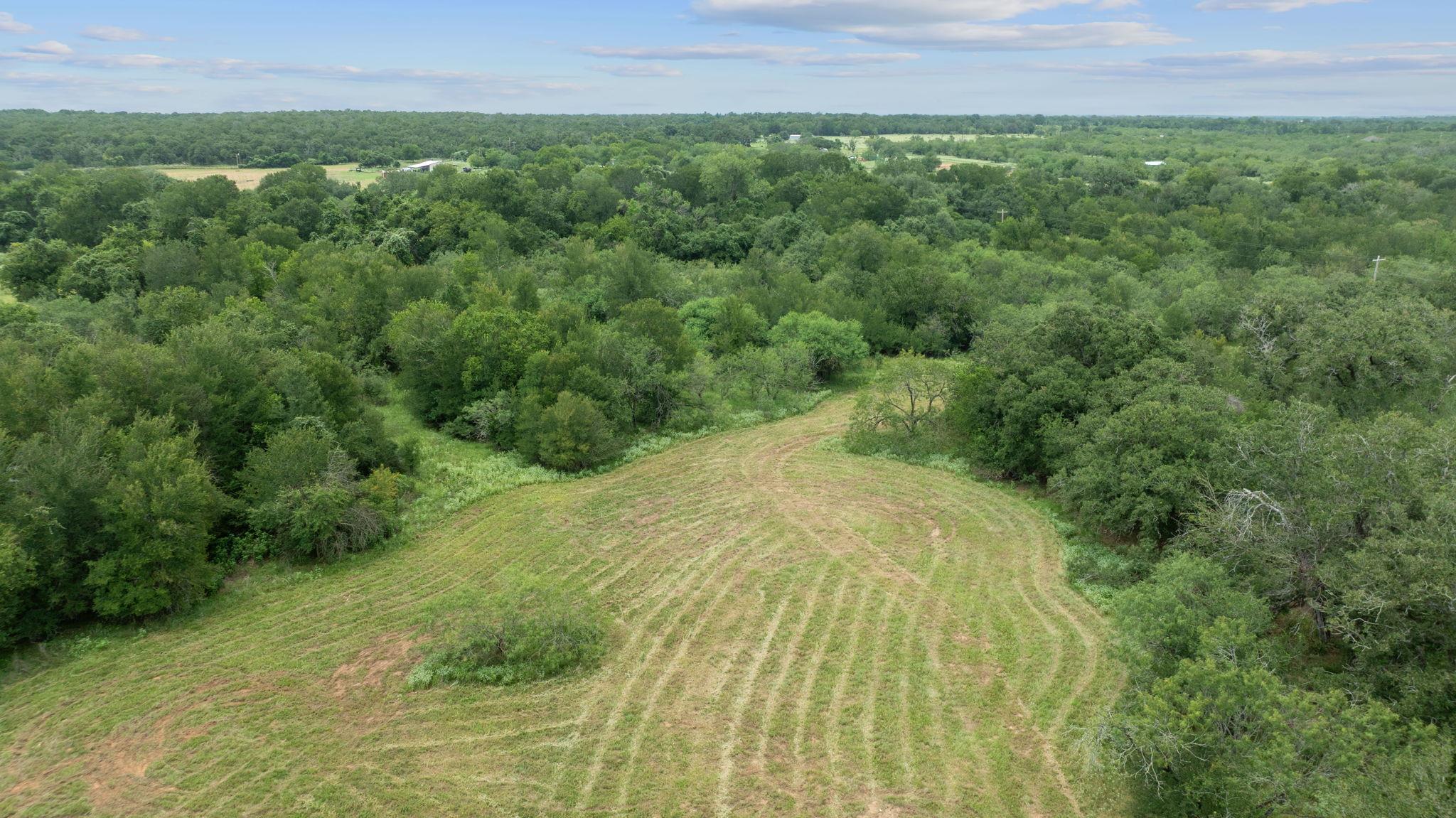 3597 Baker Rd, Kingsbury, TX 78638