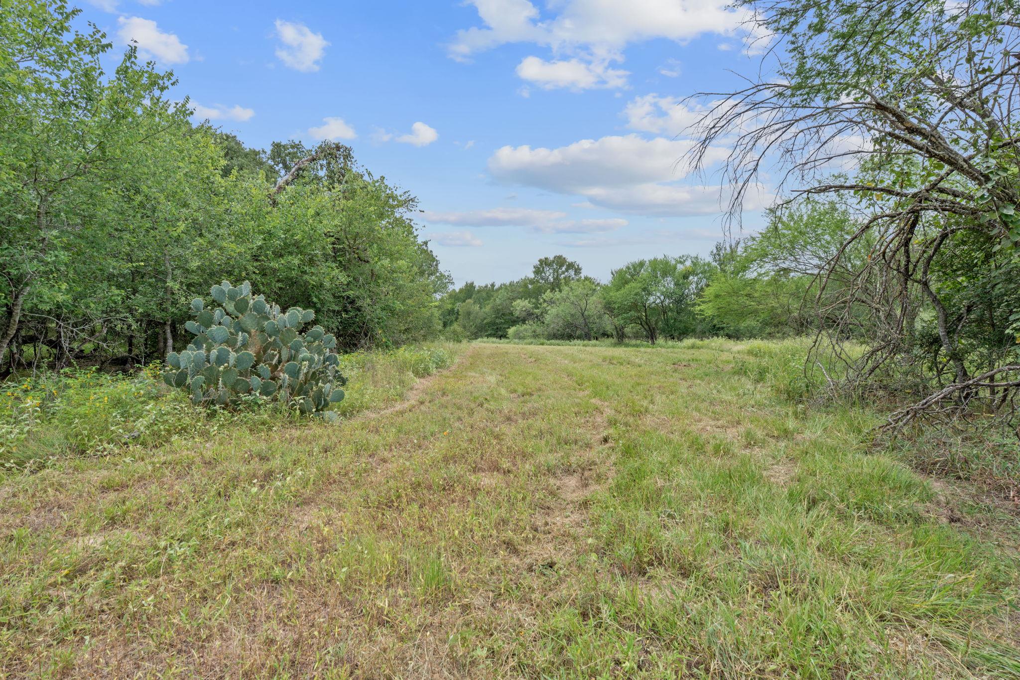 3597 Baker Rd, Kingsbury, TX 78638