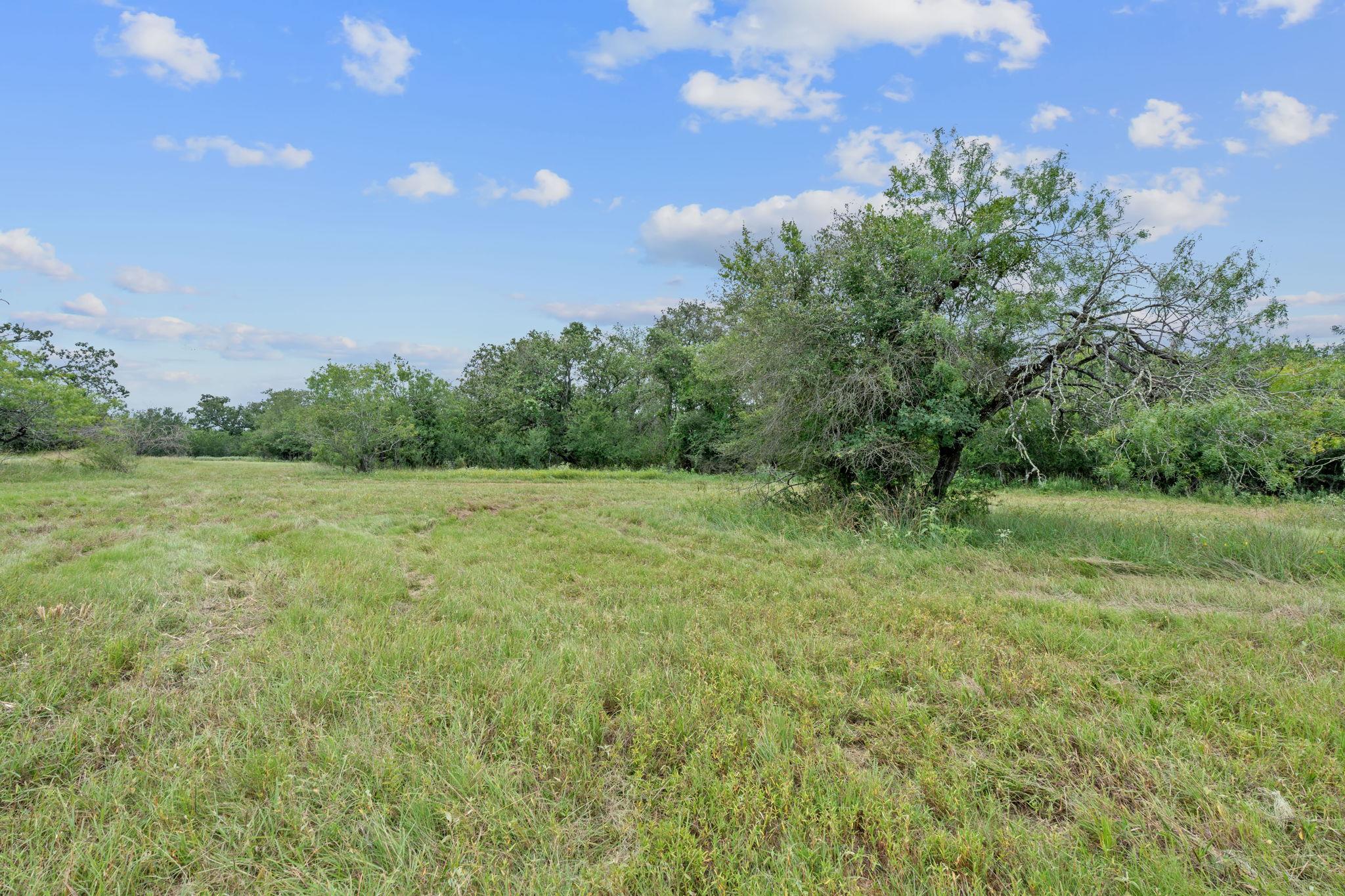 3597 Baker Rd, Kingsbury, TX 78638