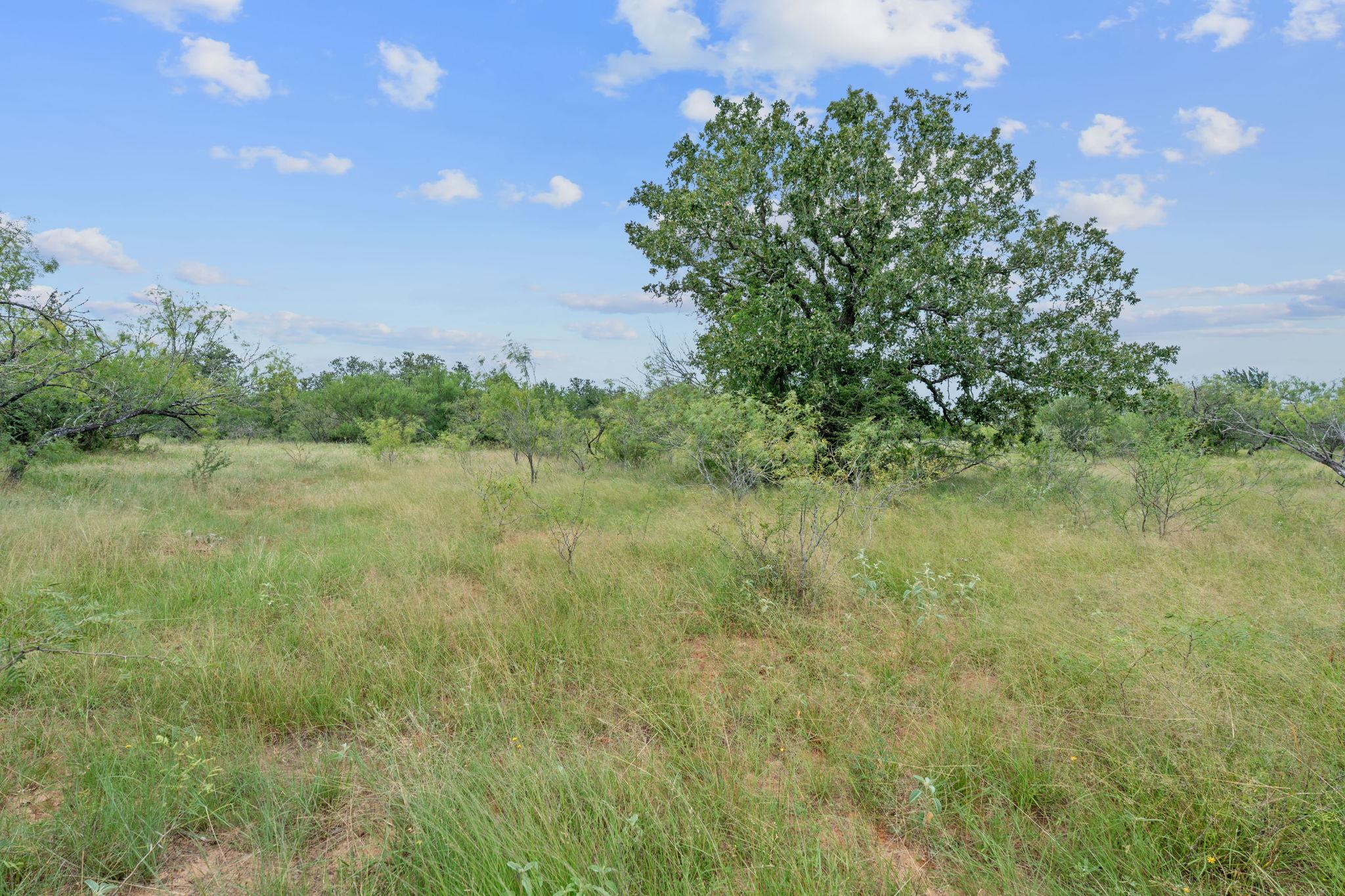 3597 Baker Rd, Kingsbury, TX 78638