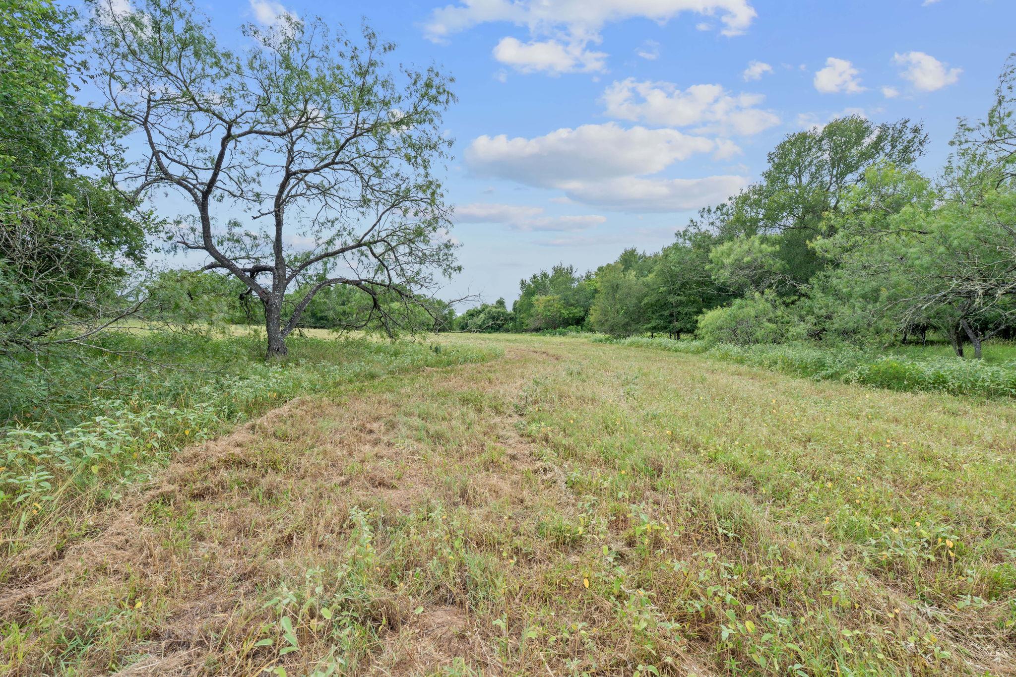 3597 Baker Rd, Kingsbury, TX 78638