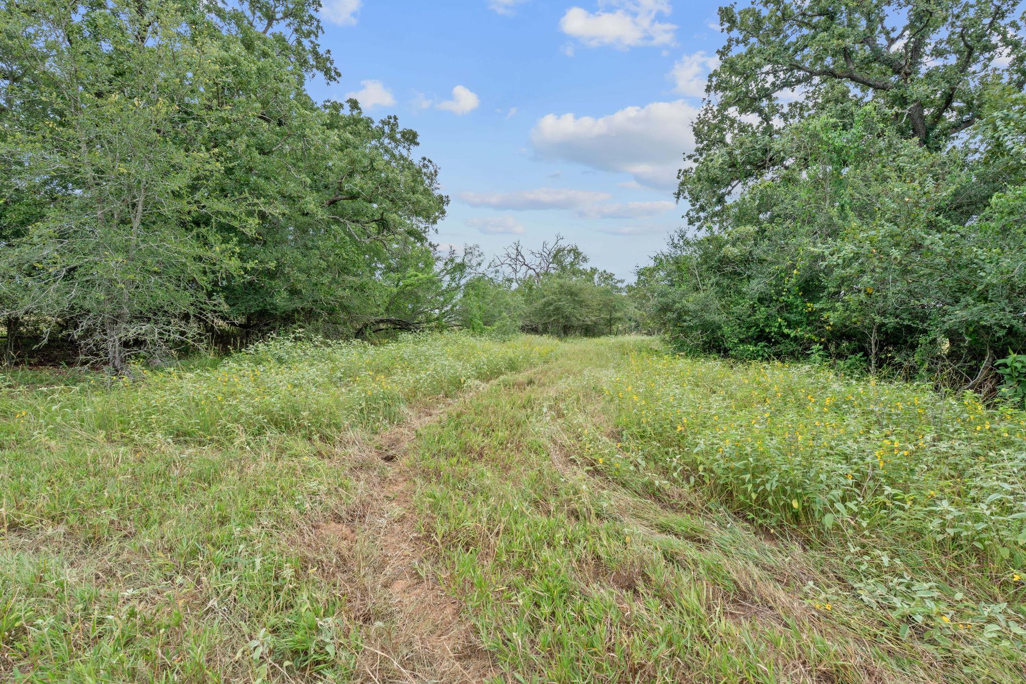 3597 Baker Rd, Kingsbury, TX 78638