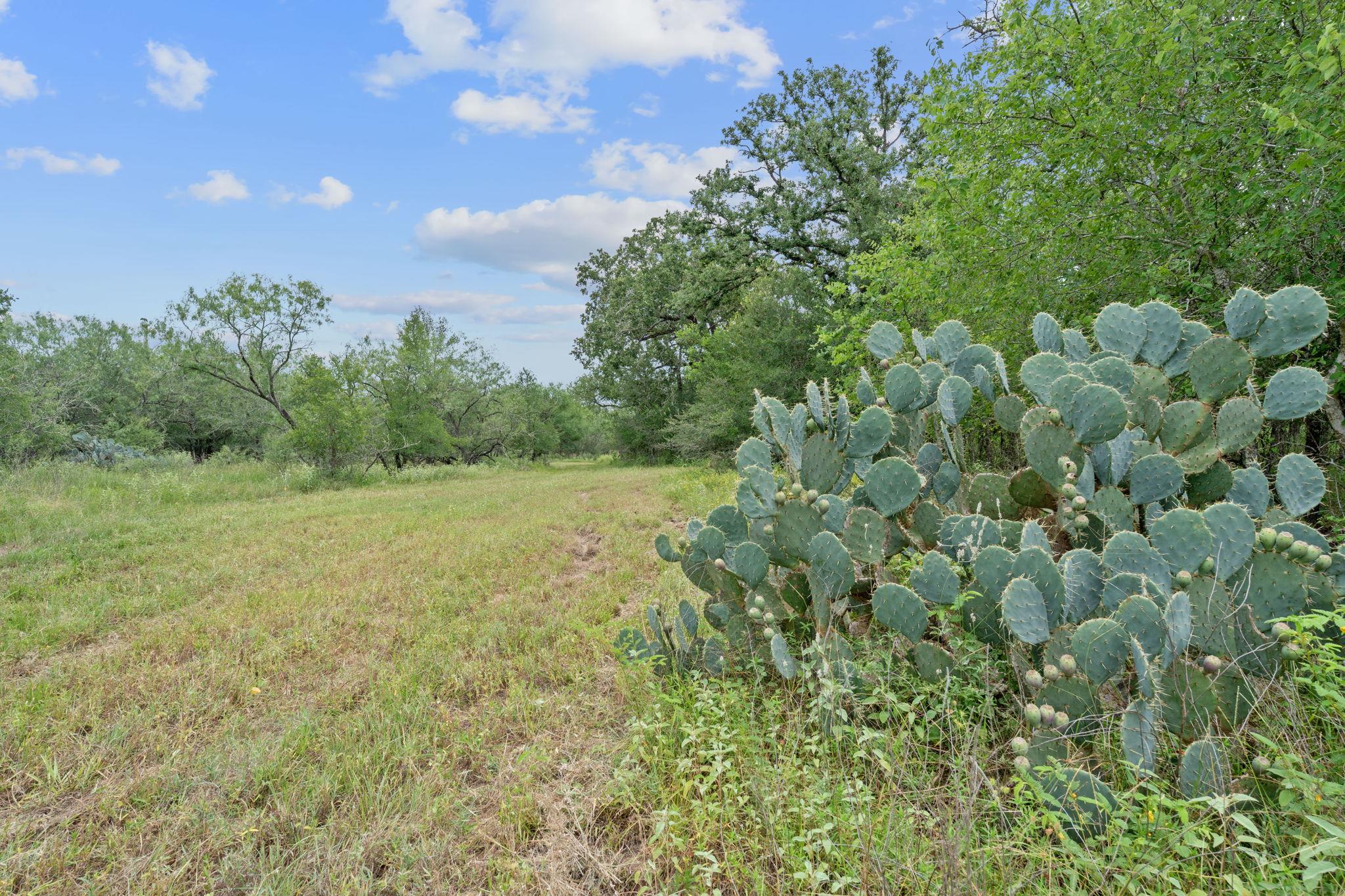 3597 Baker Rd, Kingsbury, TX 78638