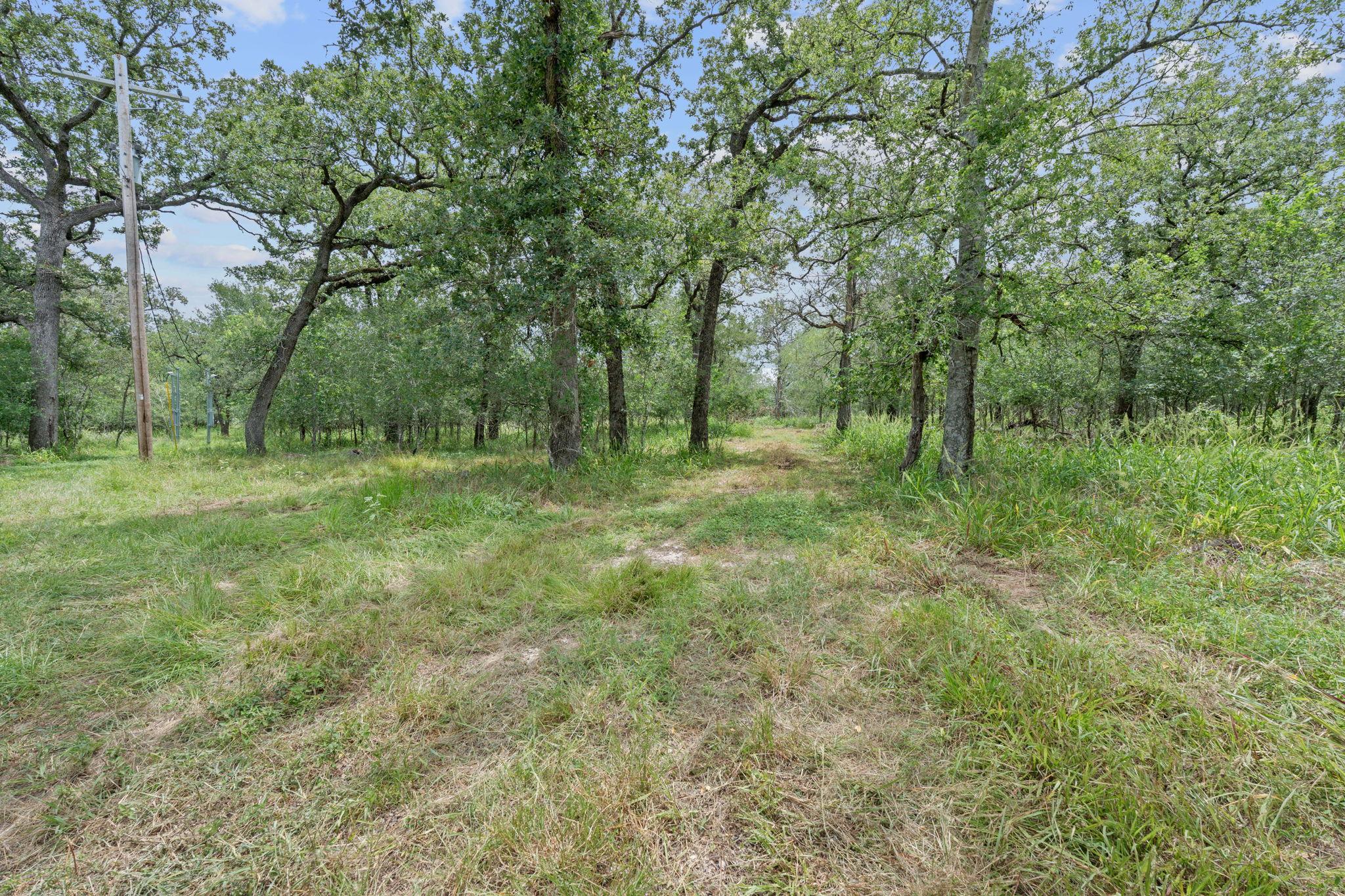 3597 Baker Rd, Kingsbury, TX 78638