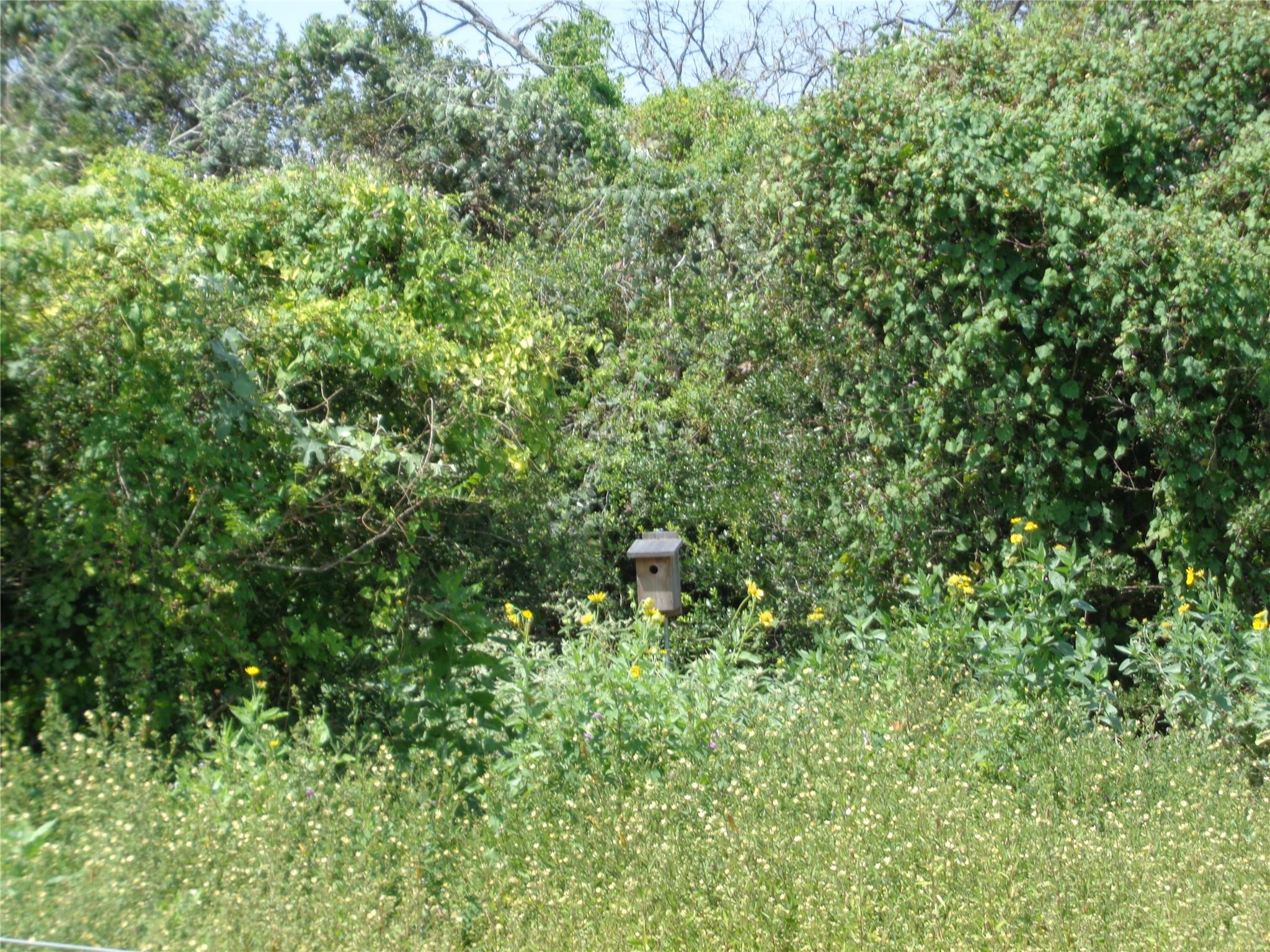 131 Cardinal Dr # B, Paige, TX 78659